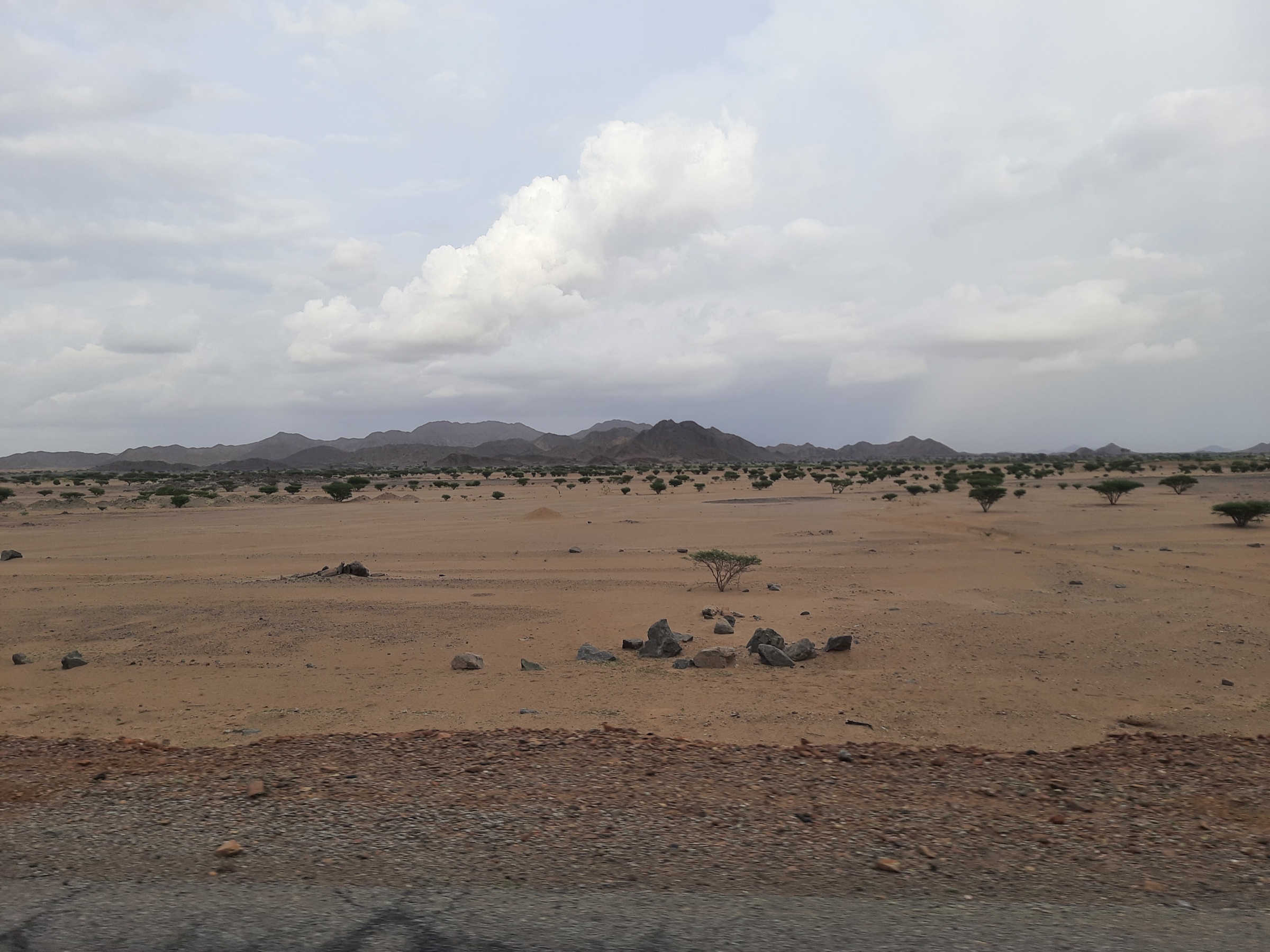 Sudan — Sudanese Red Sea Hills: five candidate research targets