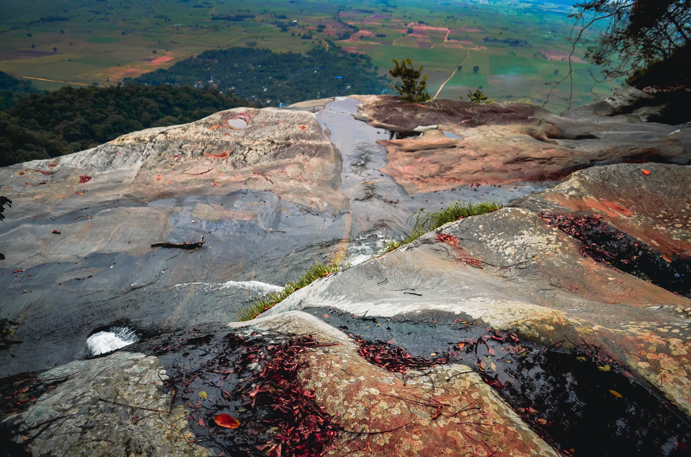 Tanzania — Eastern Arc Mountains: Udzungwa Mountains