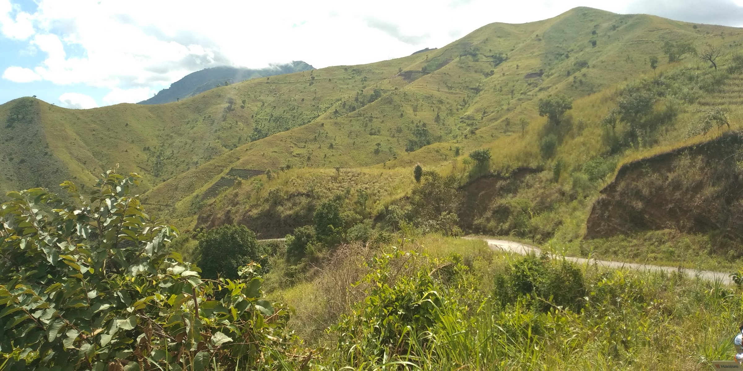 Tanzania — Eastern Arc Mountains: Uluguru Mountains