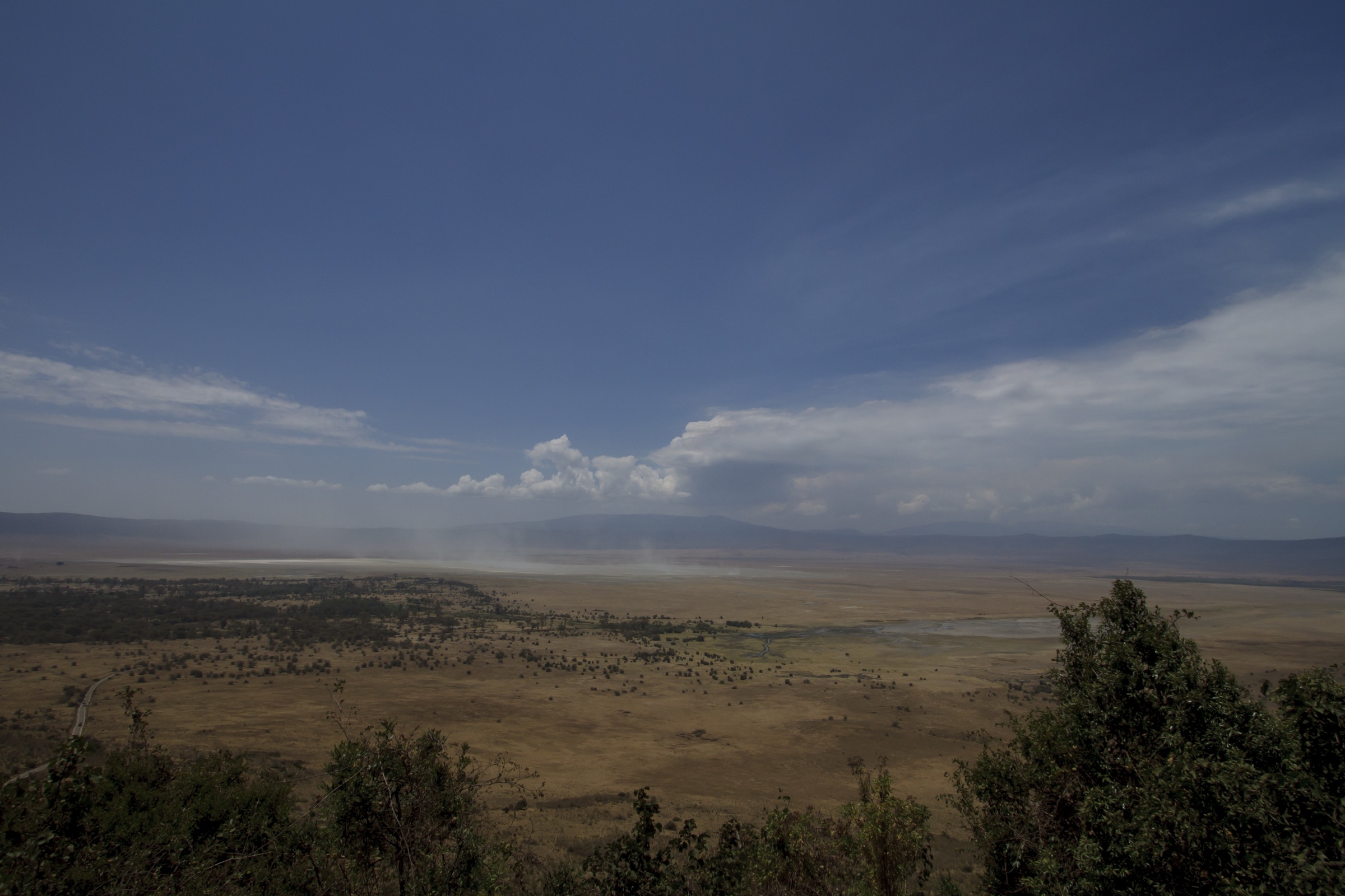 View of the Ngorongoro Caldera floor from the rim, Tanzania