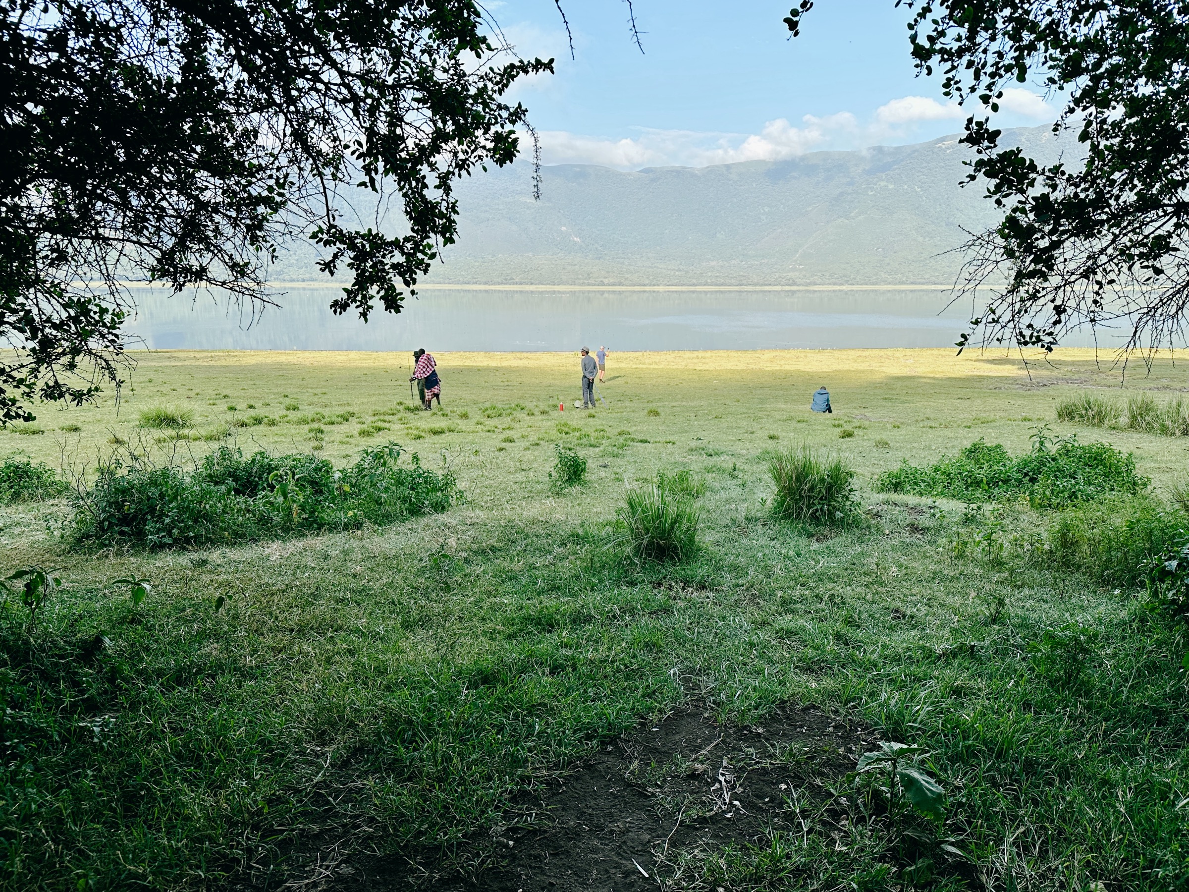 Tanzania — Eastern Rift Volcanoes: Ngorongoro Highlands
