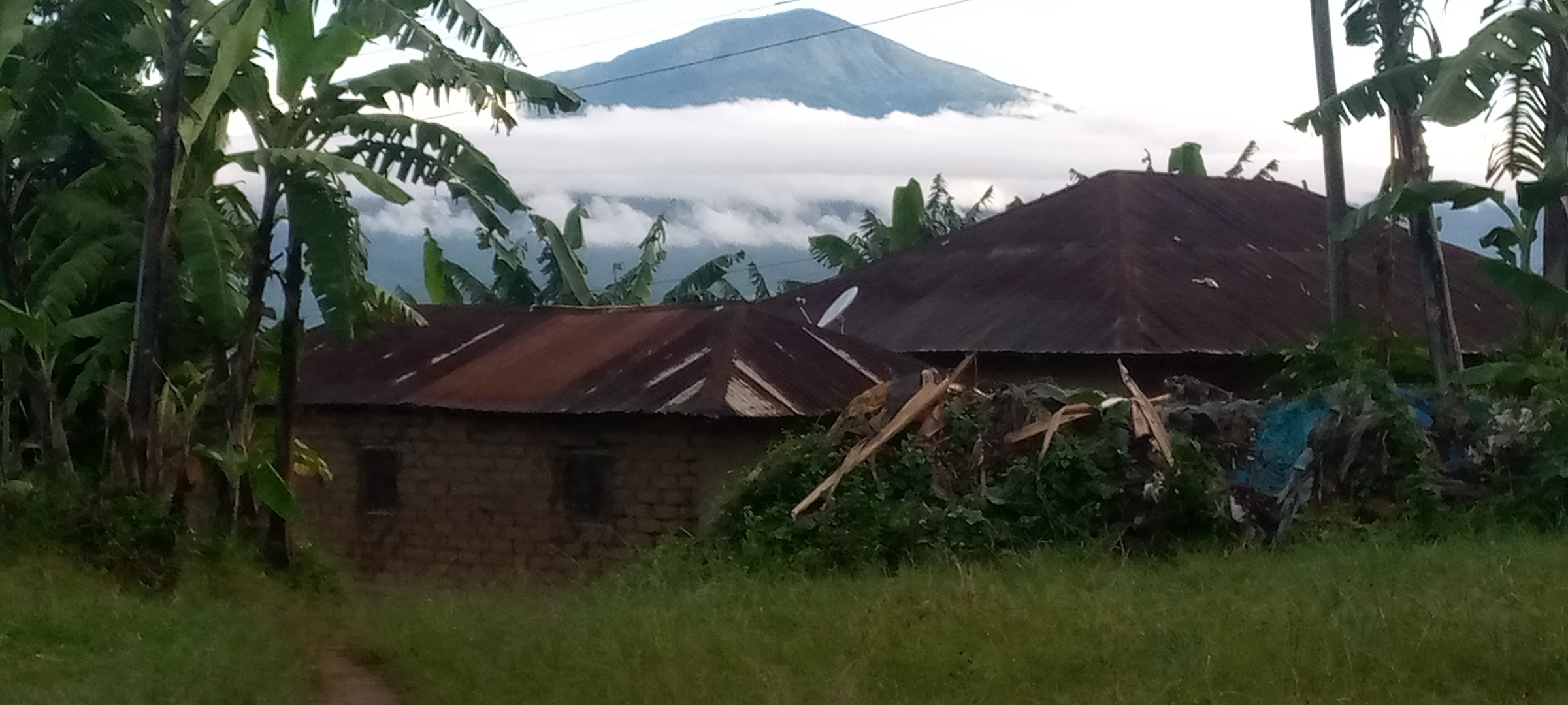 Mount Rungwe rising above forest, viewed from the Mbeya / Tukuyu side