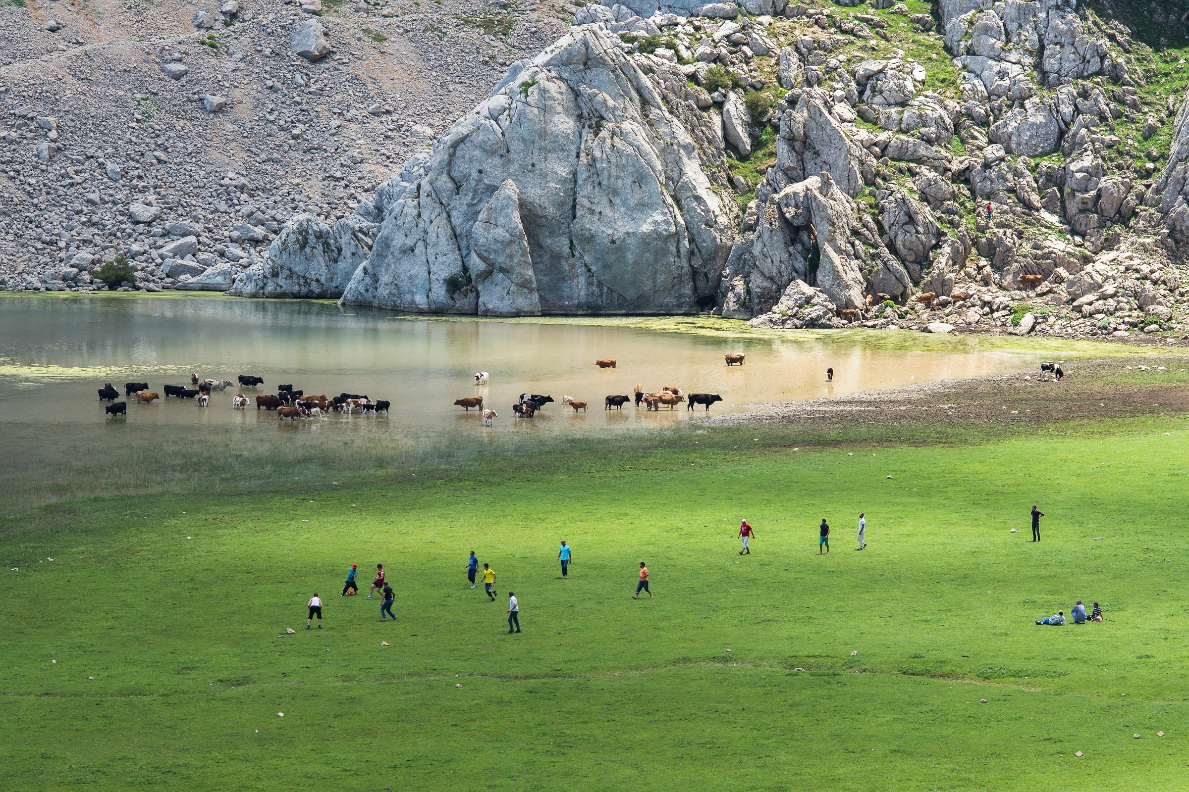 Algeria and Tunisia — Tell Atlas: Essential Day-Hikes