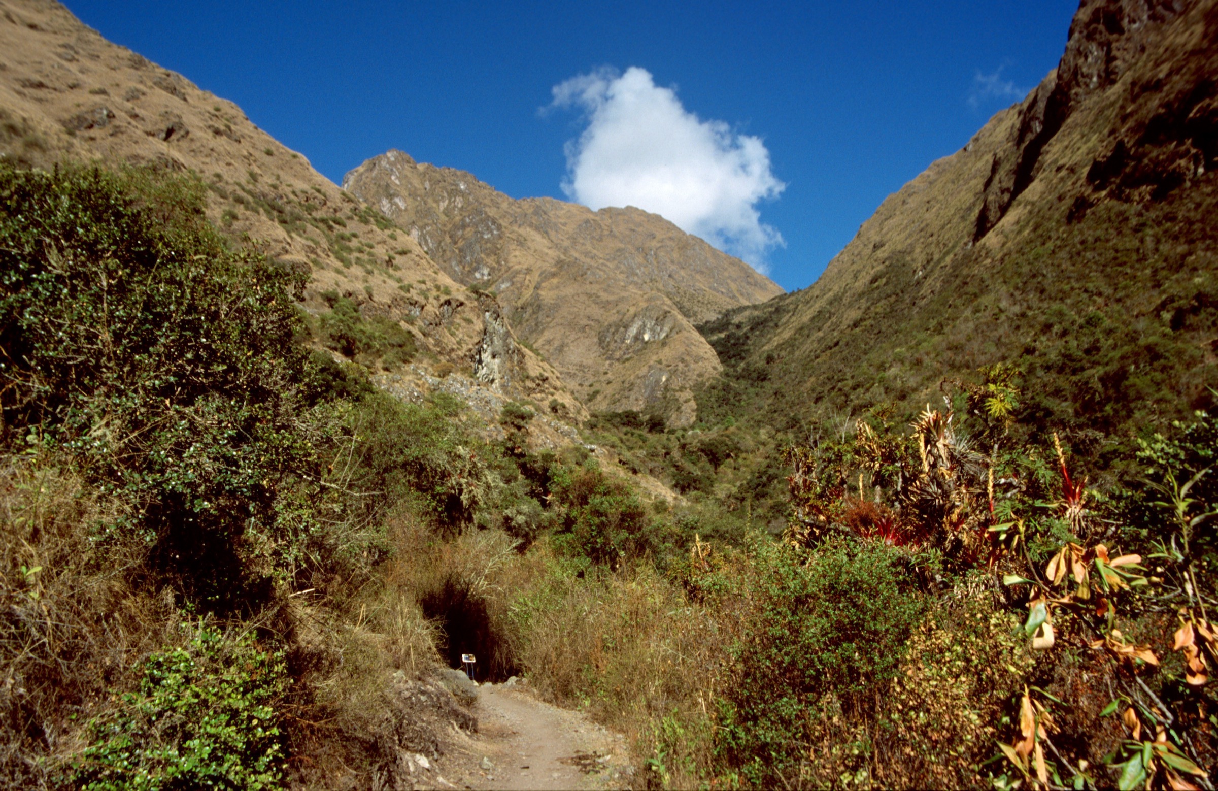 Stone Inca Trail path climbing through Andean terrain toward Machu Picchu, Peru