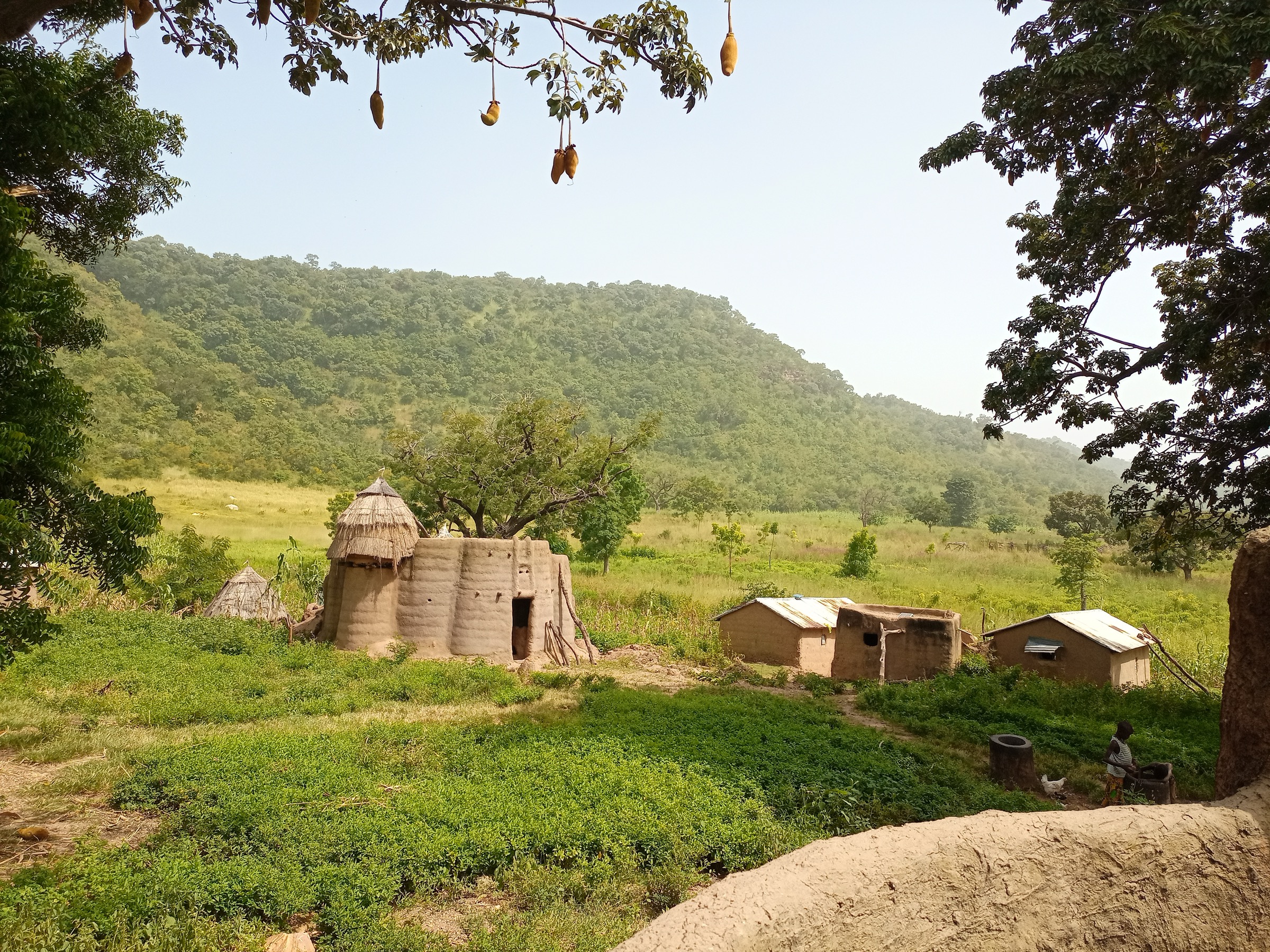 Atakora savanna landscape around Tata Somba dwellings, Togo