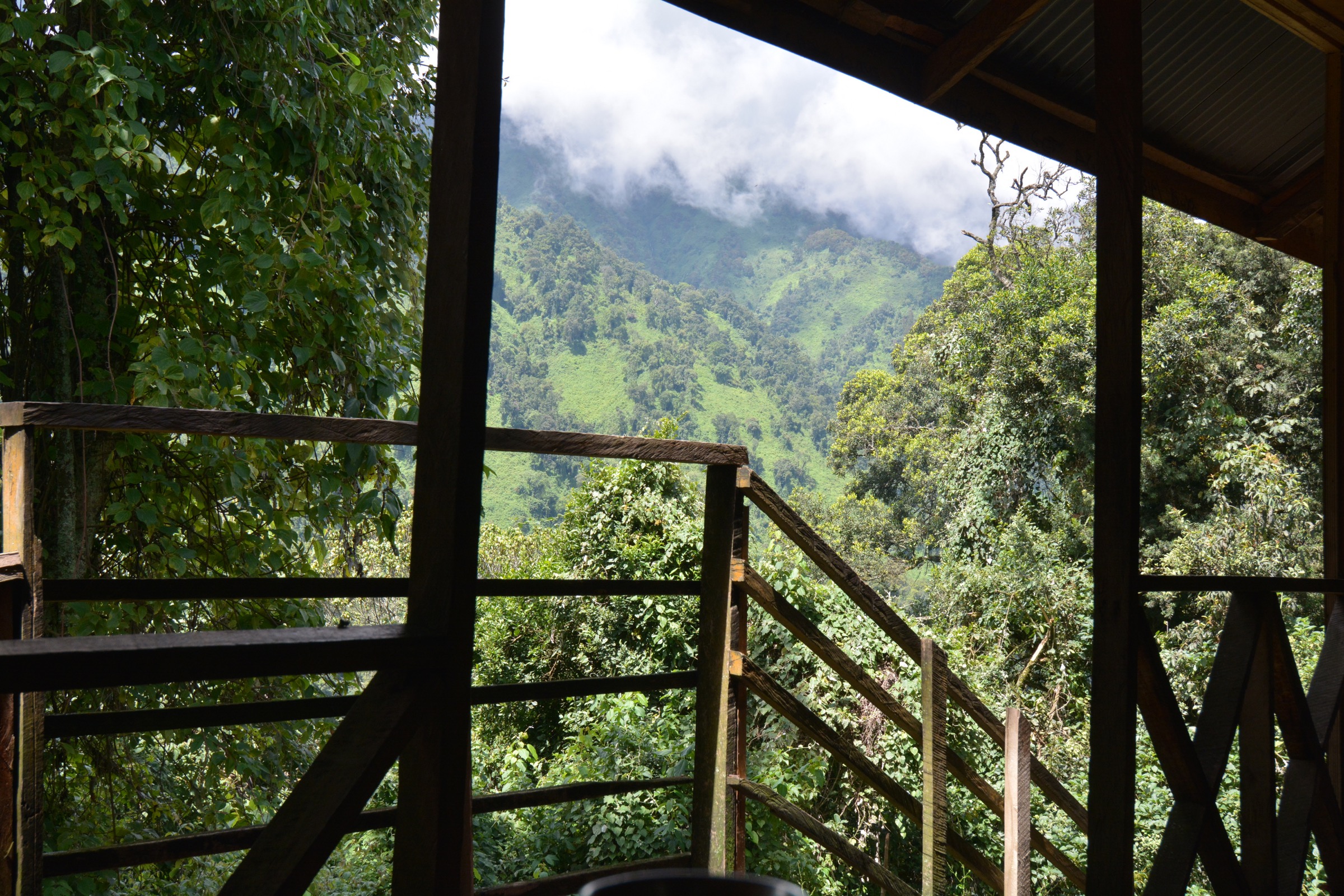 Nyabitaba Hut at 2,651 m on the Central Circuit of the Rwenzori Mountains