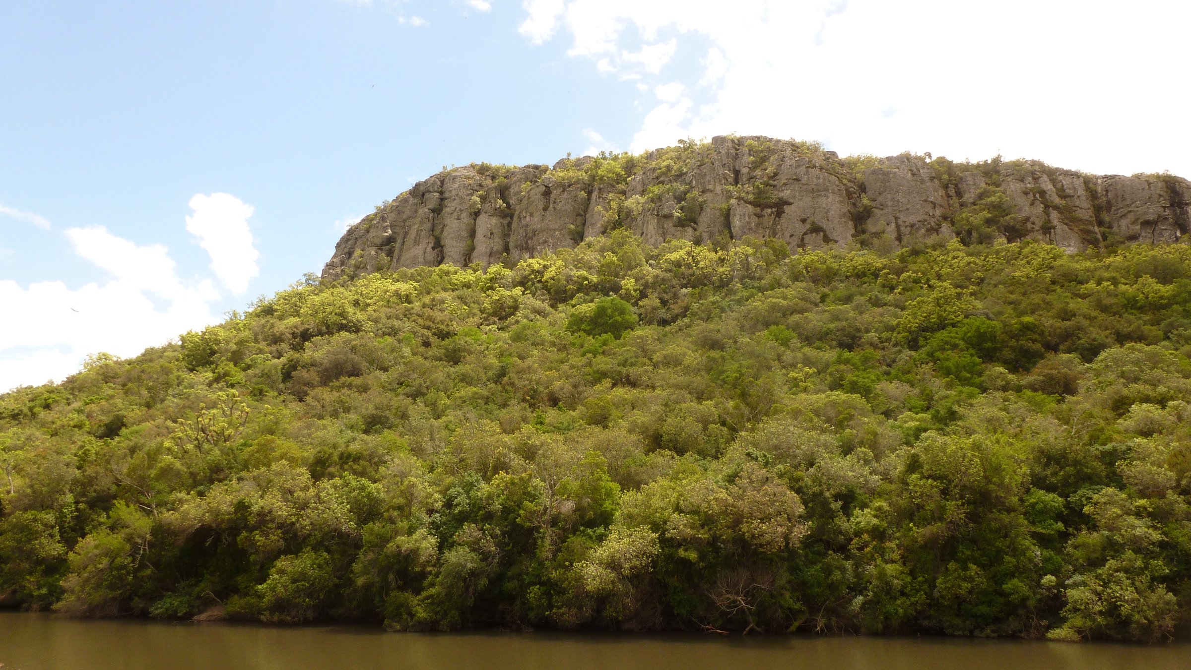 Uruguay — Uruguayan and Paraguayan Highlands: Cuchilla Grande