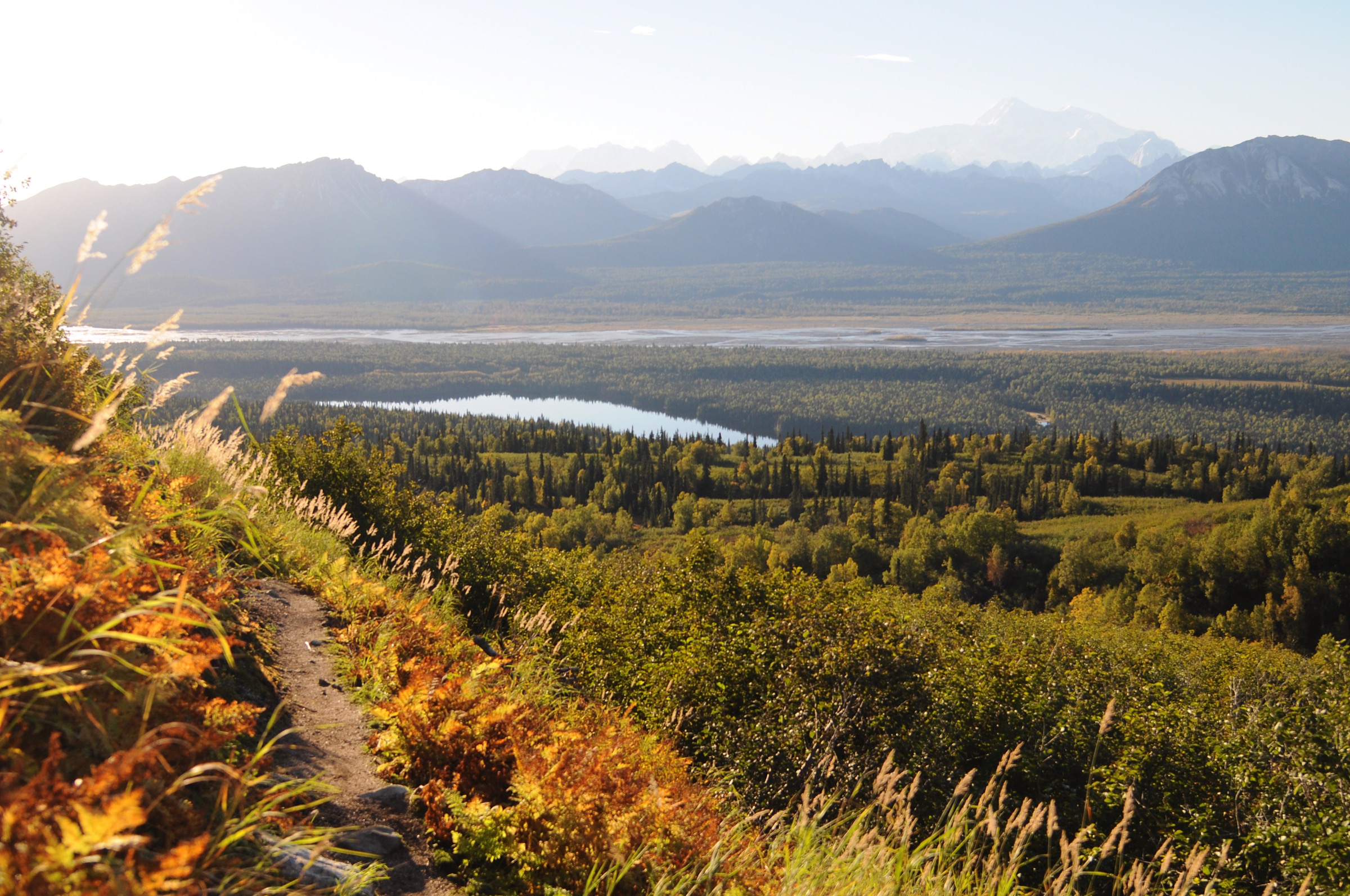 Cascade Trail above Byers Lake in Denali State Park, Alaska