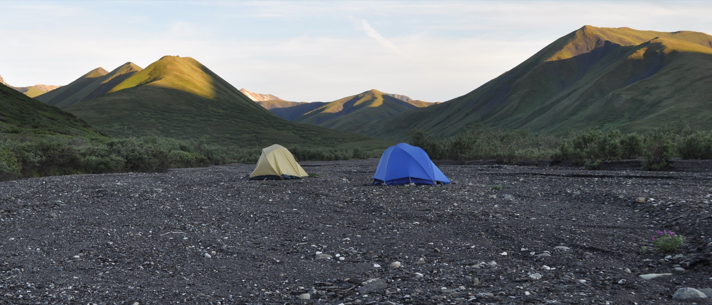Savage River valley in Denali National Park