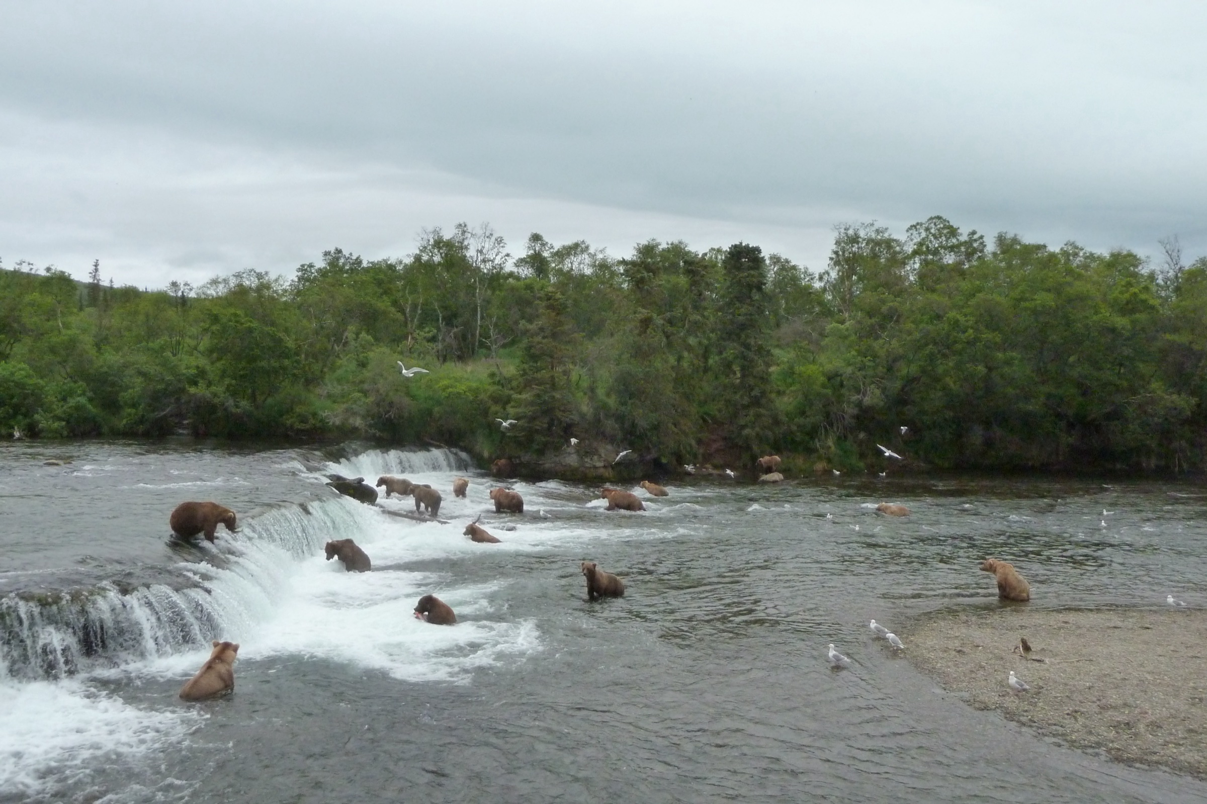 USA — Alaska: Katmai & Aniakchak day hikes
