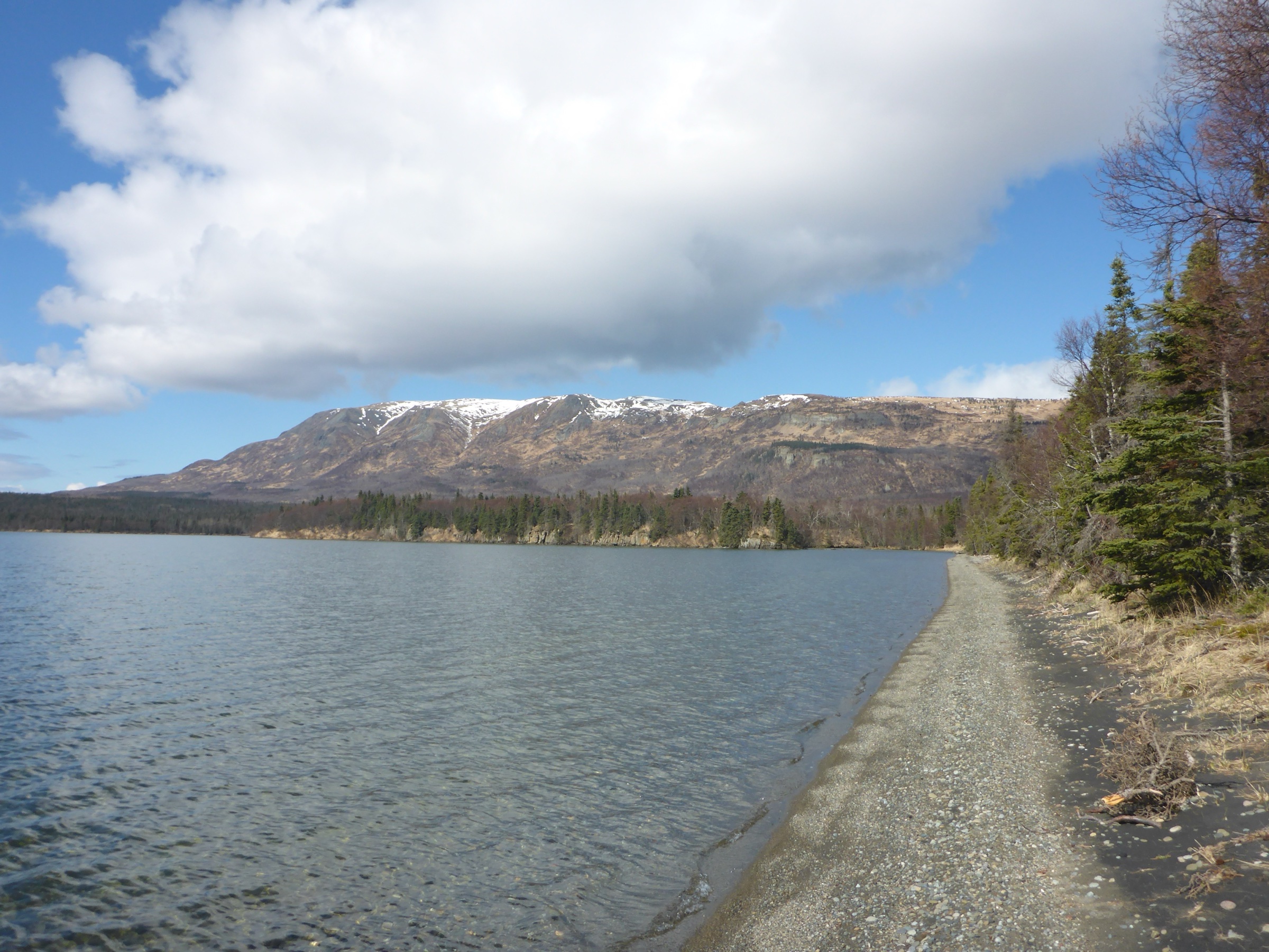 Dumpling Mountain rising above Lake Brooks at Brooks Camp