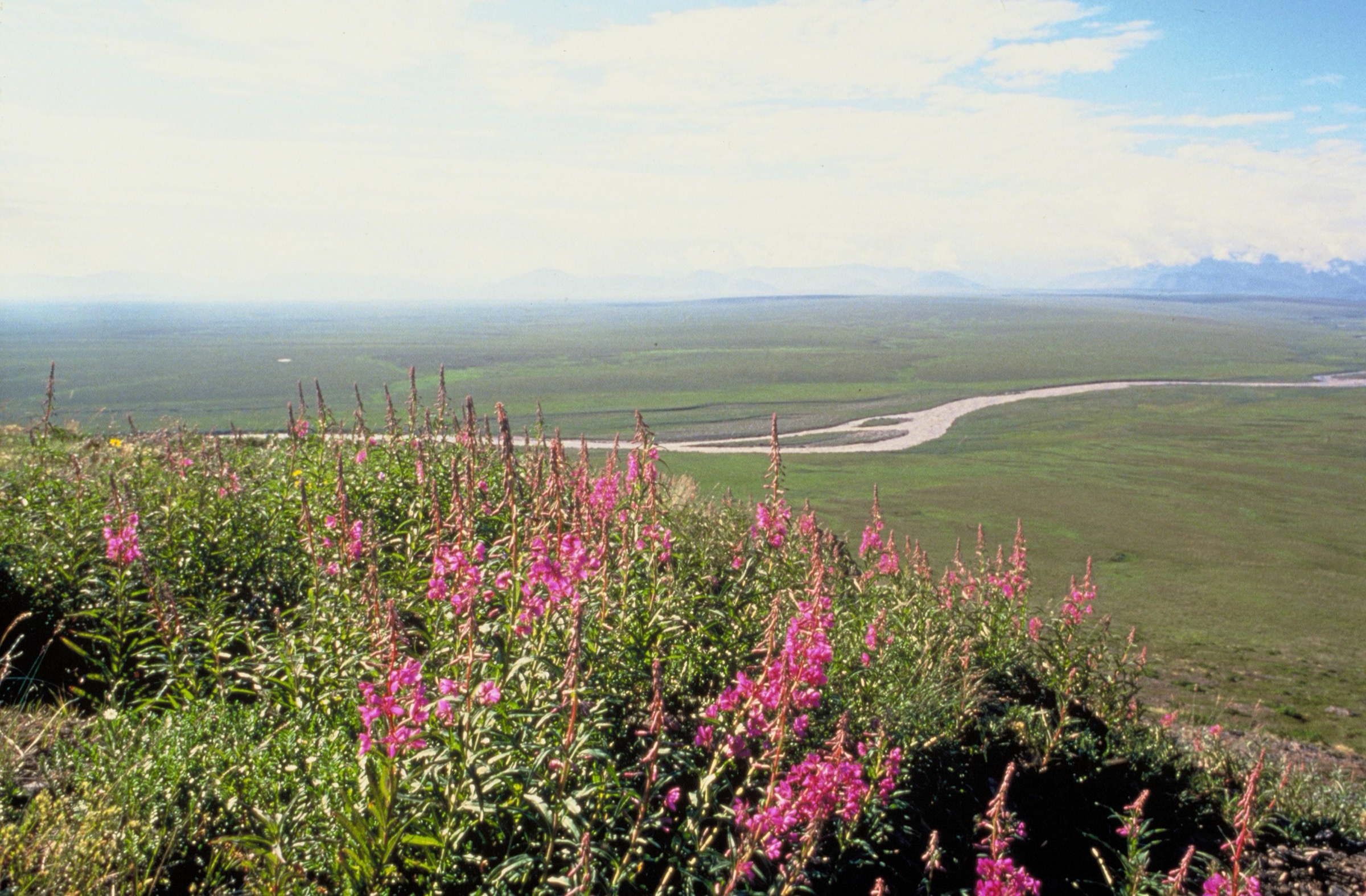 Coastal plain and the Brooks Range of the Arctic National Wildlife Refuge