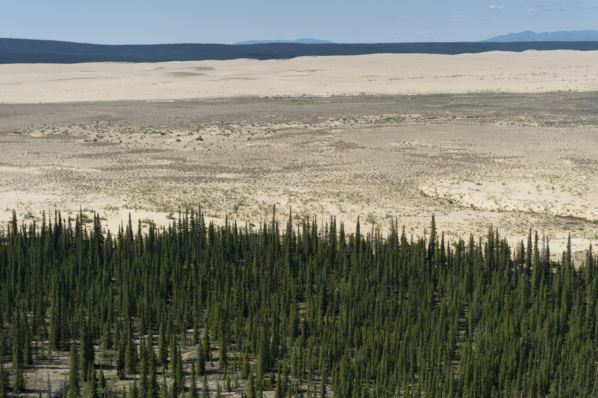 The Great Kobuk Sand Dunes with the Baird Mountains behind
