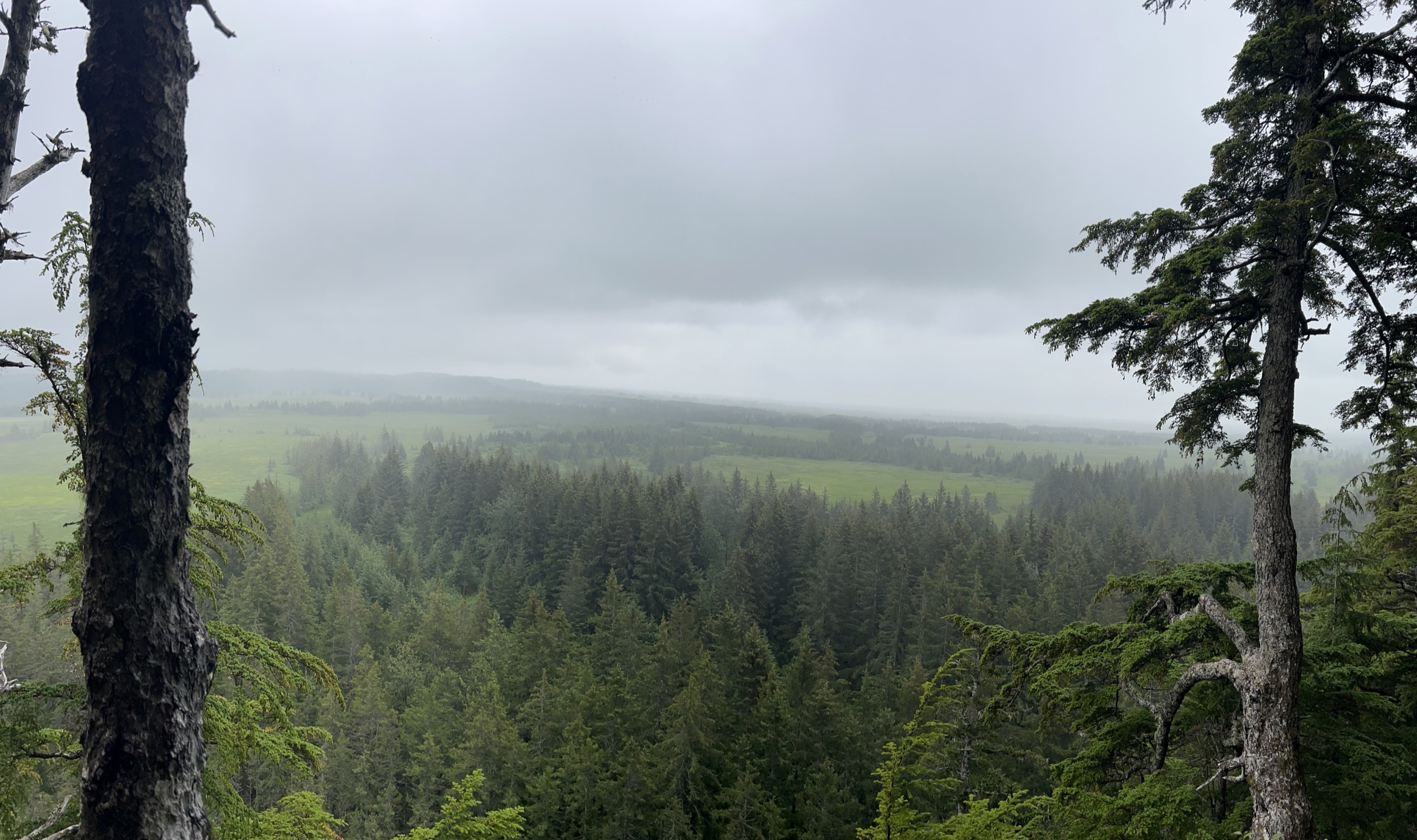 View from the Haystack Trail overlook across the Copper River Delta, Cordova Ranger District