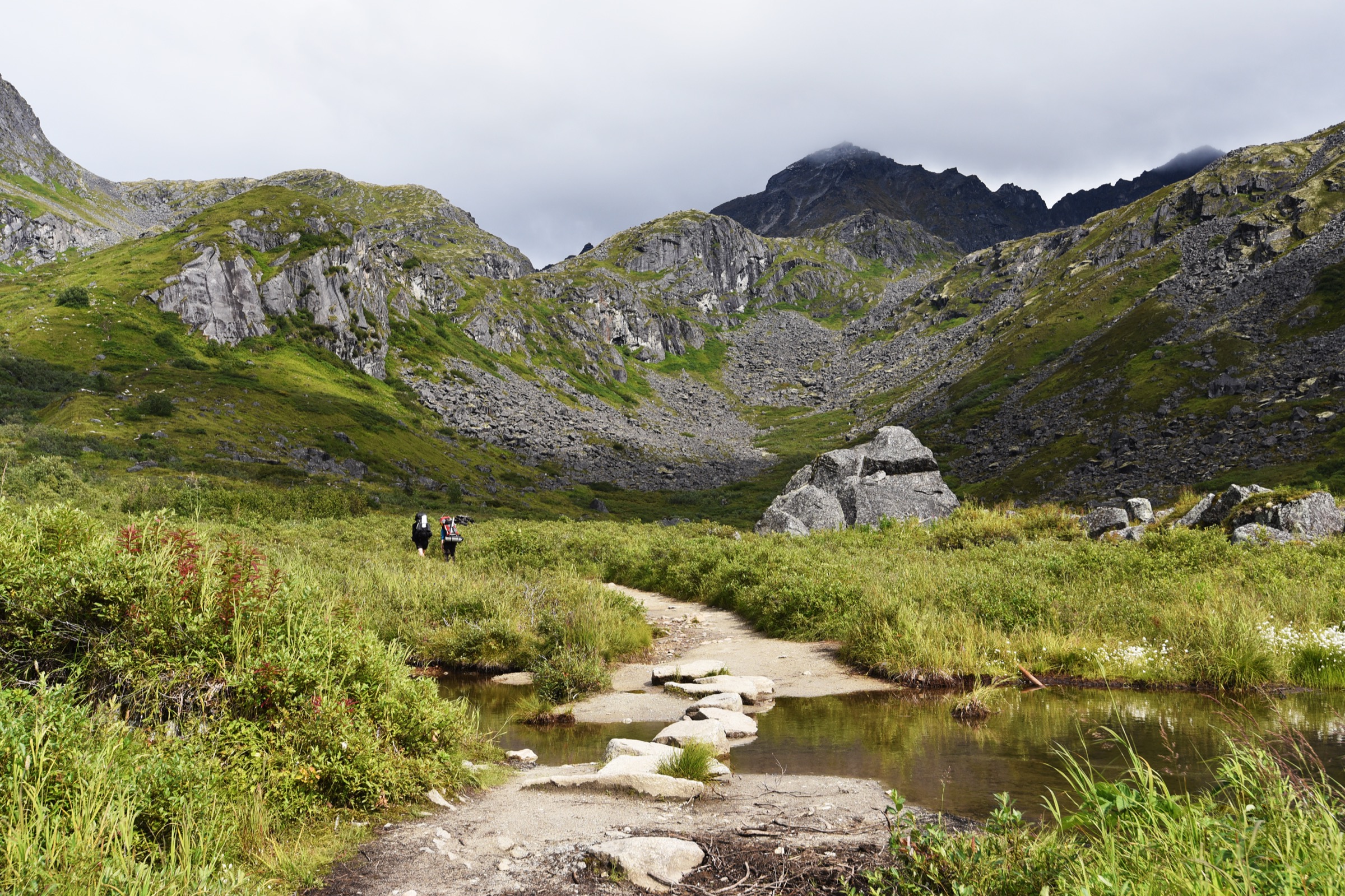 On the Reed Lakes Trail in the Talkeetna Mountains, Hatcher Pass, Alaska