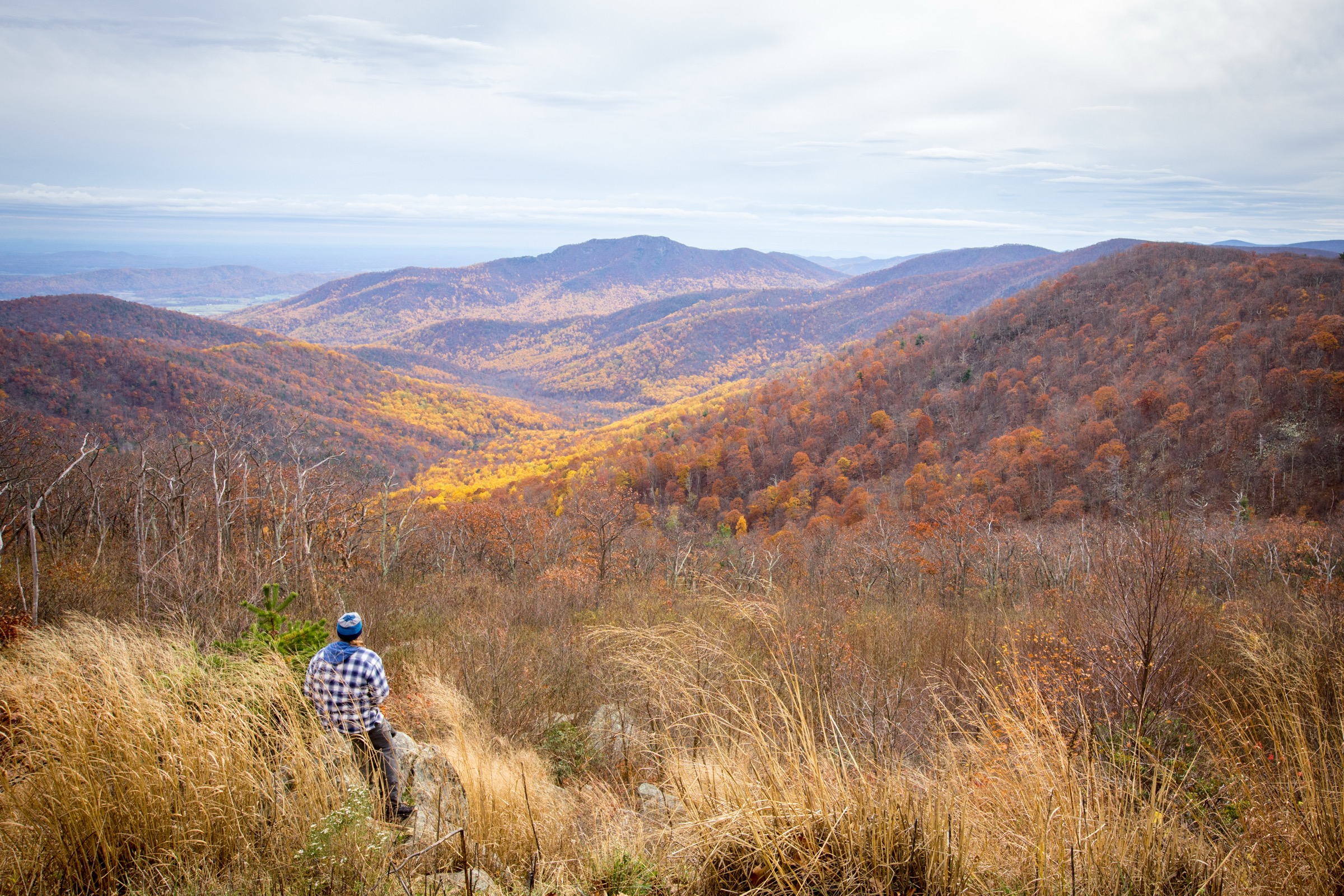 USA — Shenandoah et Blue Ridge nord : randonnées essentielles