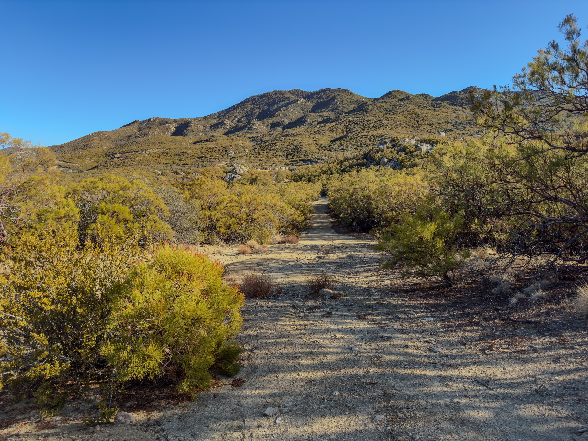 USA — Santa Rosa Mountains : randonnées à la journée