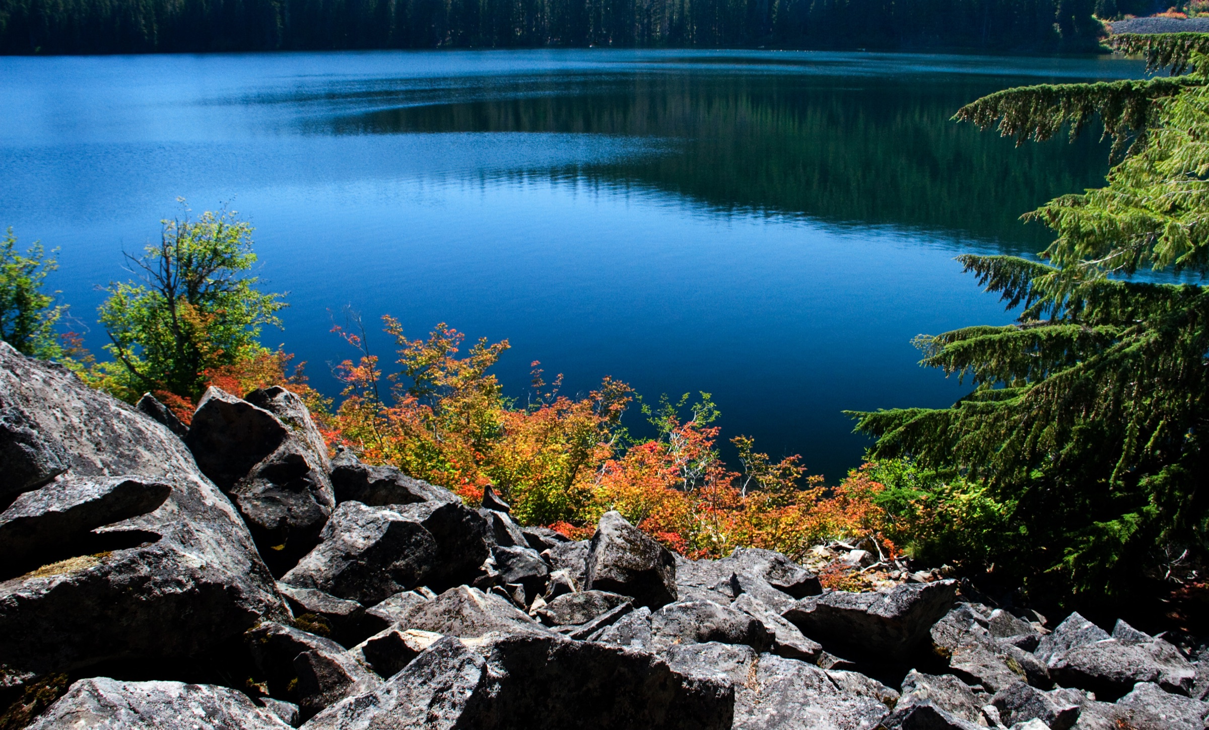 Autumn colours at Marion Lake, Mount Jefferson Wilderness, Oregon