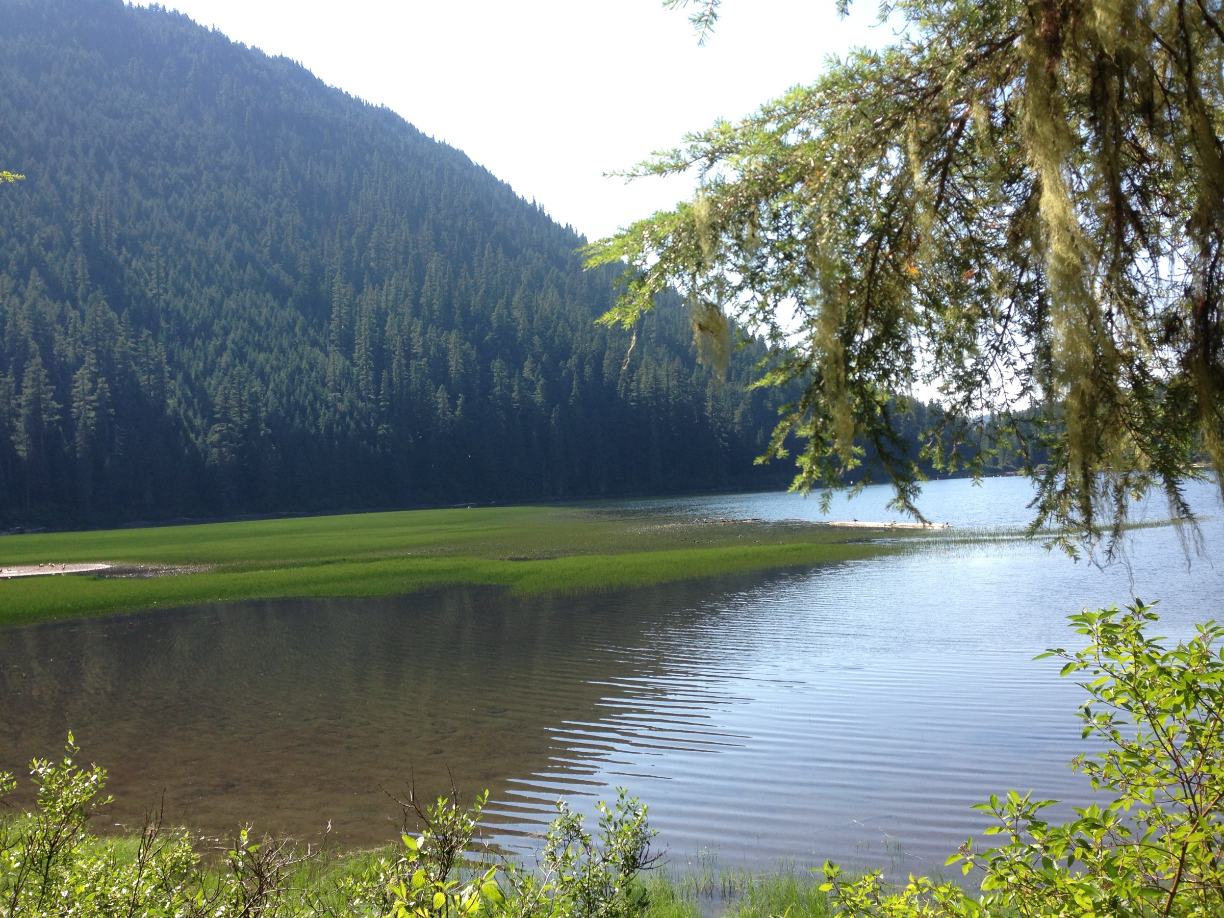 Pamelia Lake below Mount Jefferson in September, Mount Jefferson Wilderness, Oregon