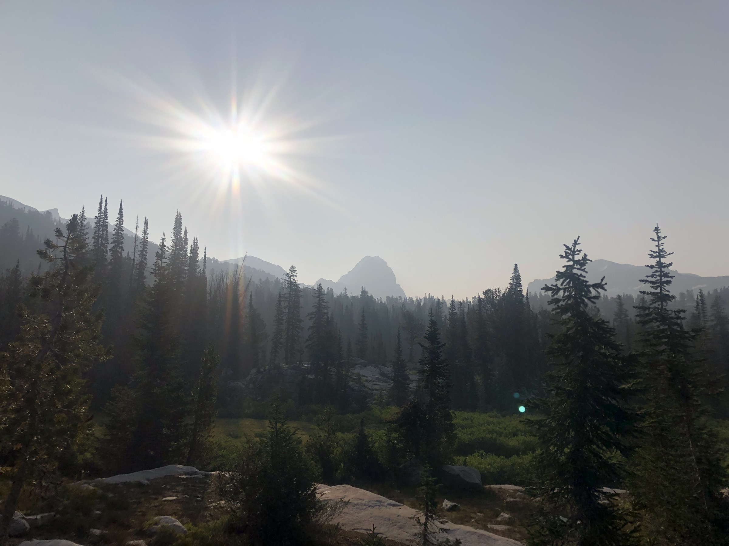 USA — Jedediah Smith Wilderness : randonnées à la journée