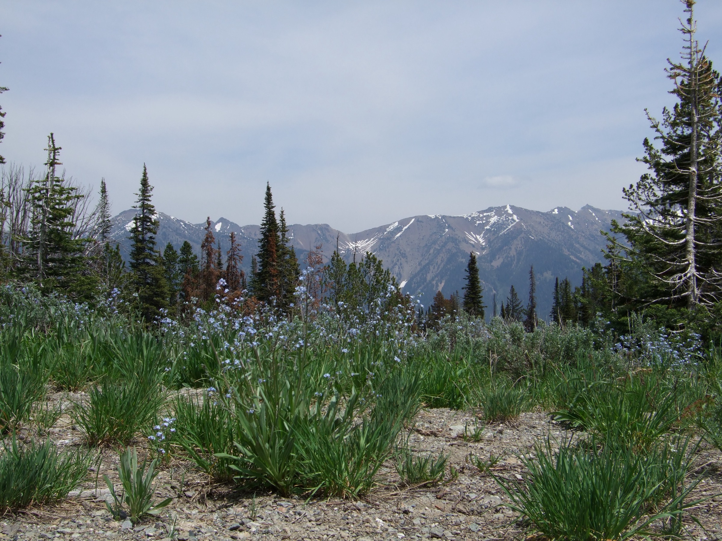 USA — Boulder Mountains, Idaho : randonnées à la journée