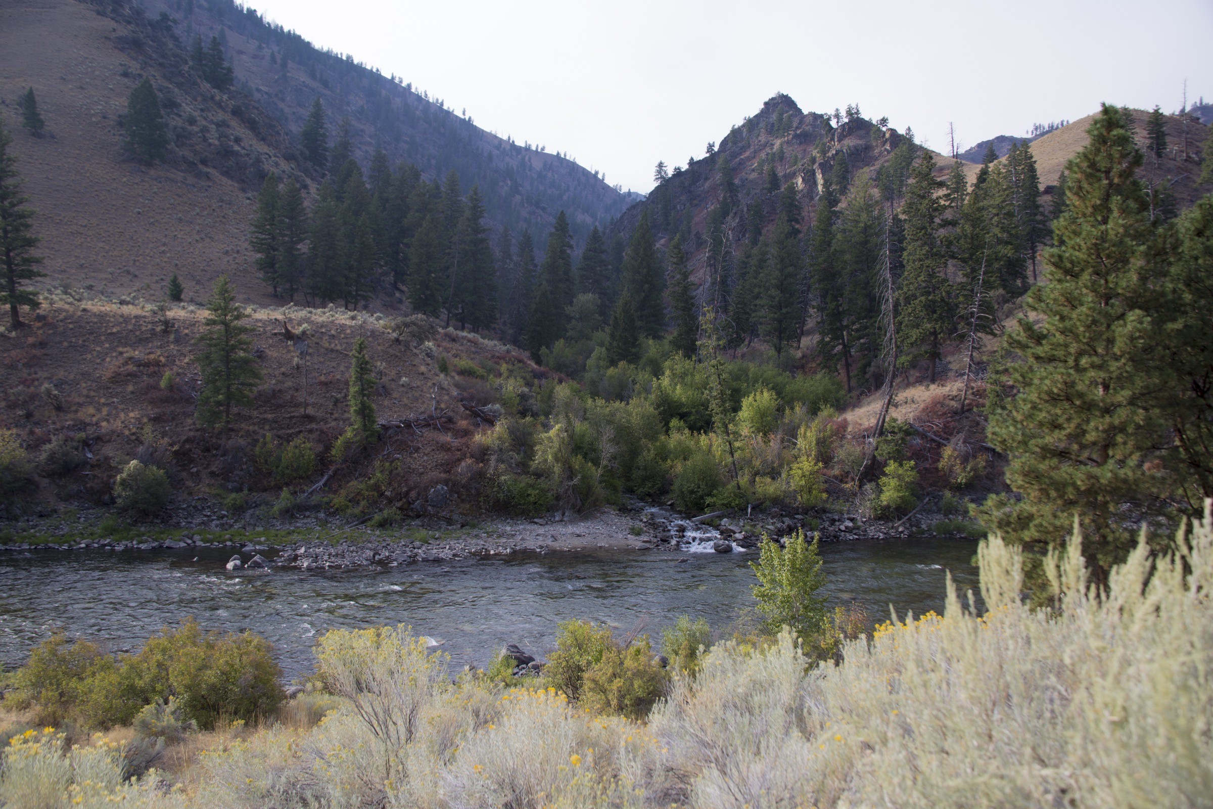 USA — Frank Church / River of No Return : randonnées