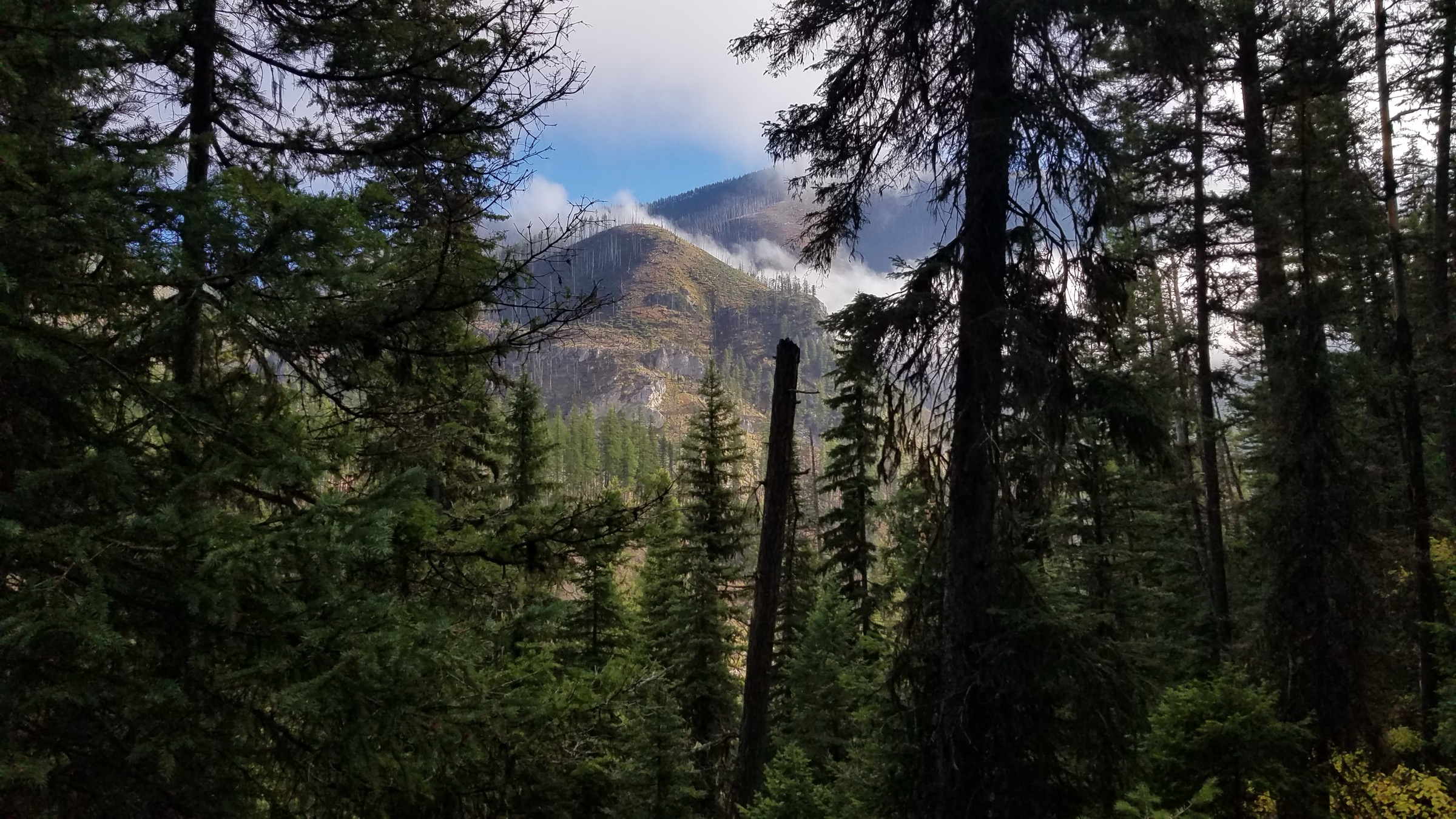 USA — Bob Marshall Wilderness, Montana : randonnées à la journée