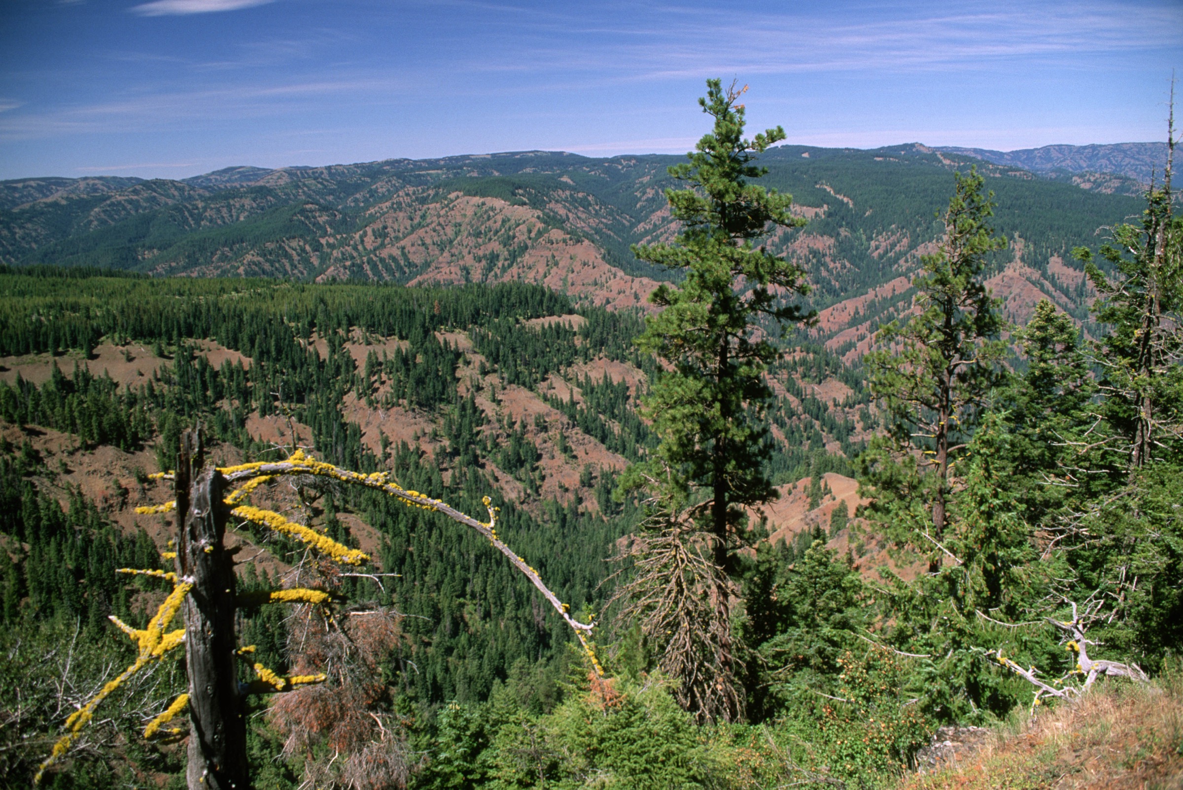USA — Blue Mountains, Oregon : randonnées