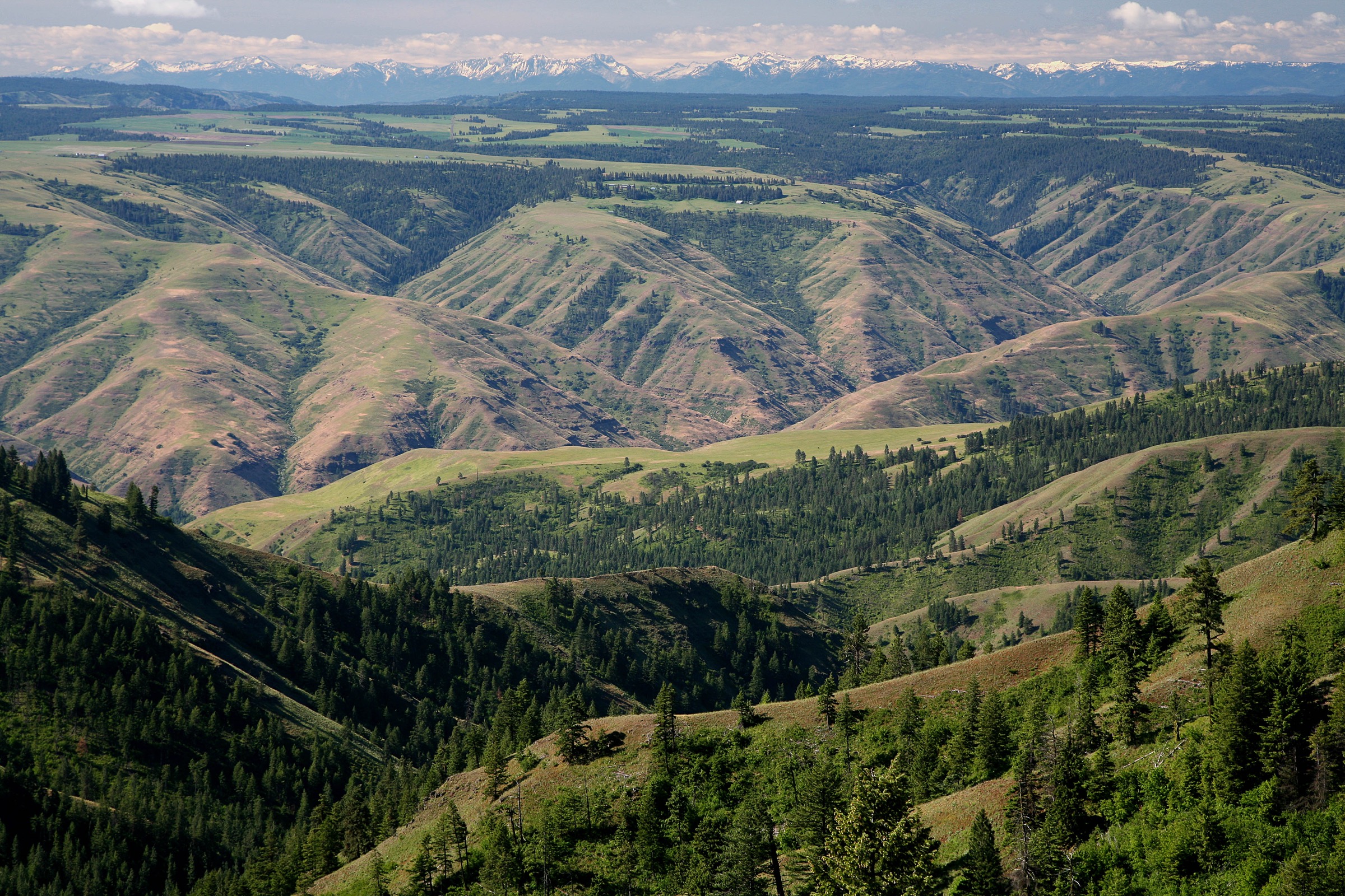 USA — Elkhorn Mountains, Oregon : randonnées à la journée
