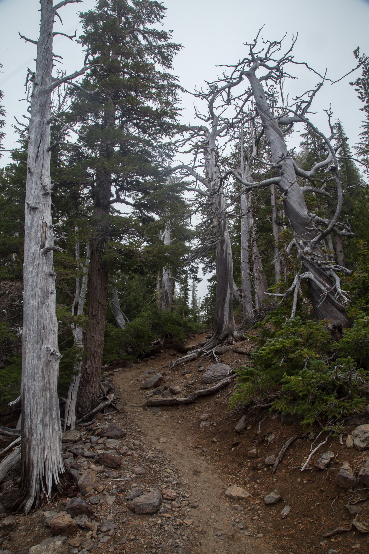 View from Tam McArthur Rim above Three Creek Lake