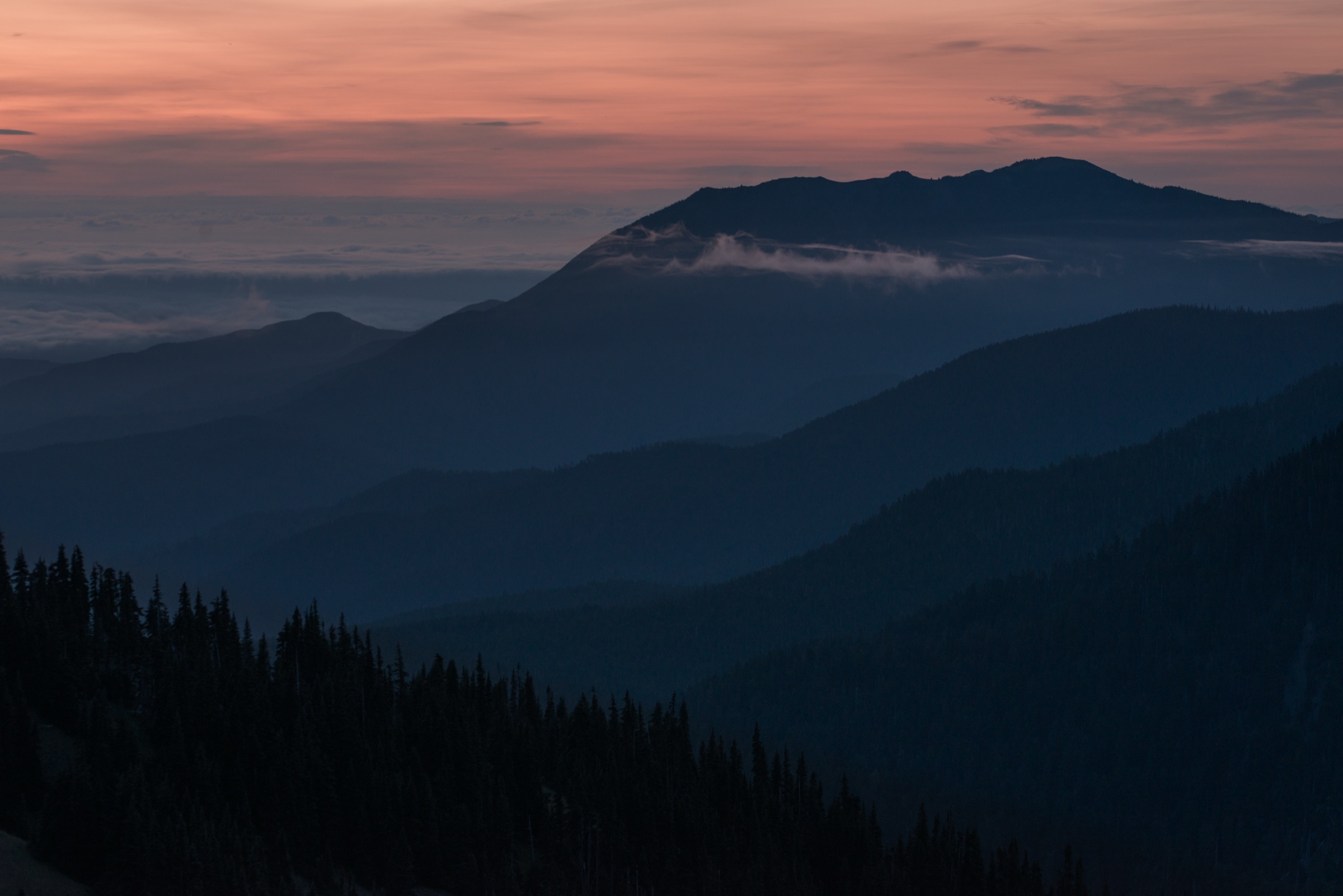 USA — Hurricane Ridge et Olympiques nord : randonnées à la journée essentielles