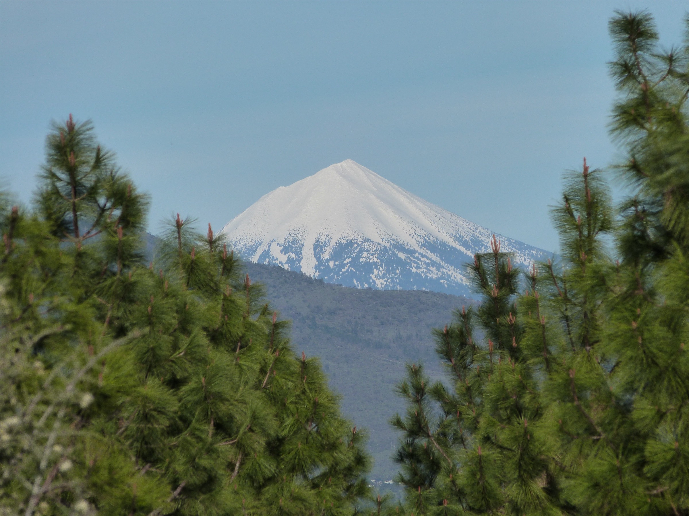 USA — Cascades du sud de l'Oregon : randonnées à la journée