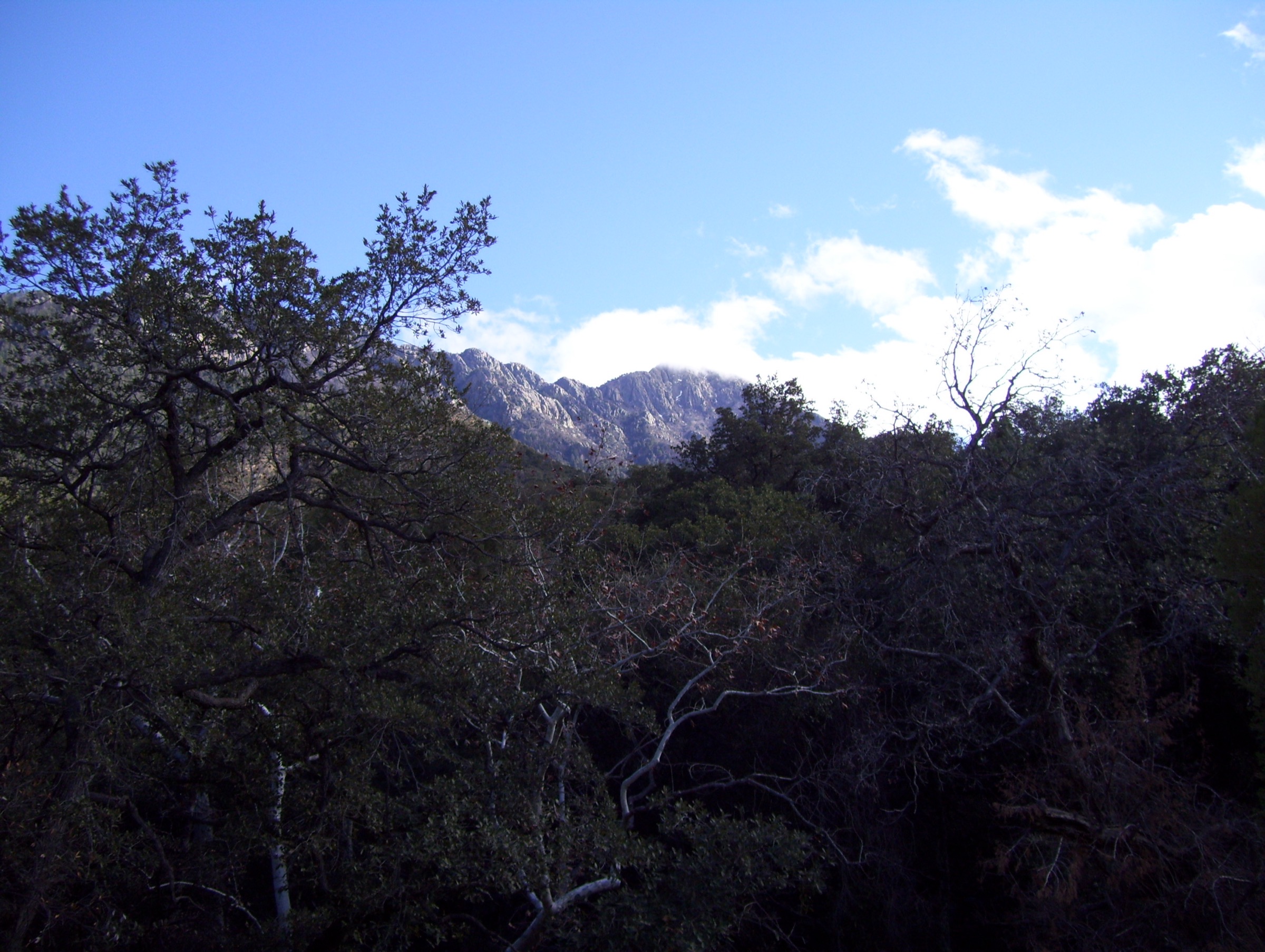 USA — Santa Rita Mountains : randonnées à la journée