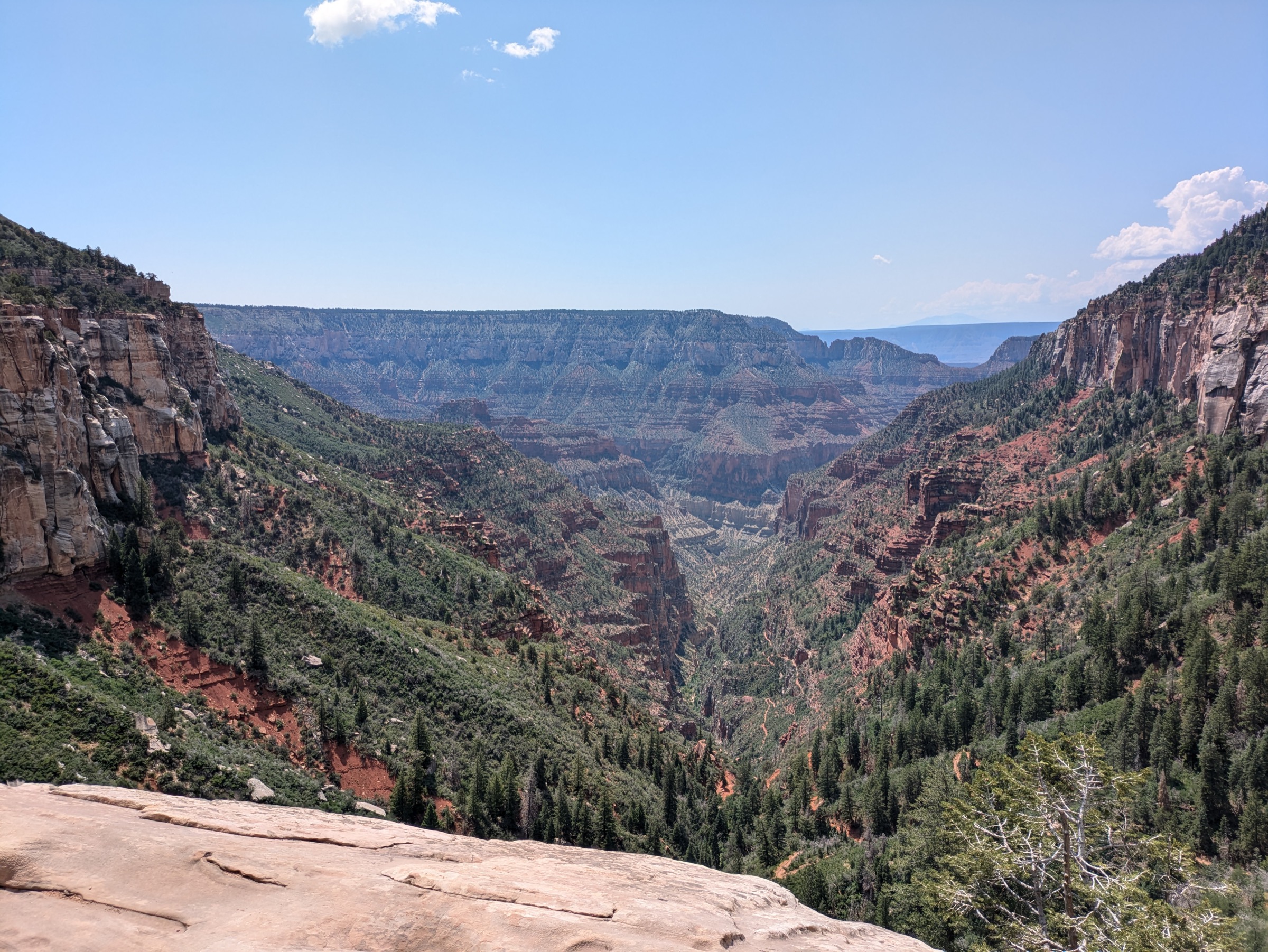 USA — Grand Canyon et plateau du Kaibab, Arizona : randonnées à la journée
