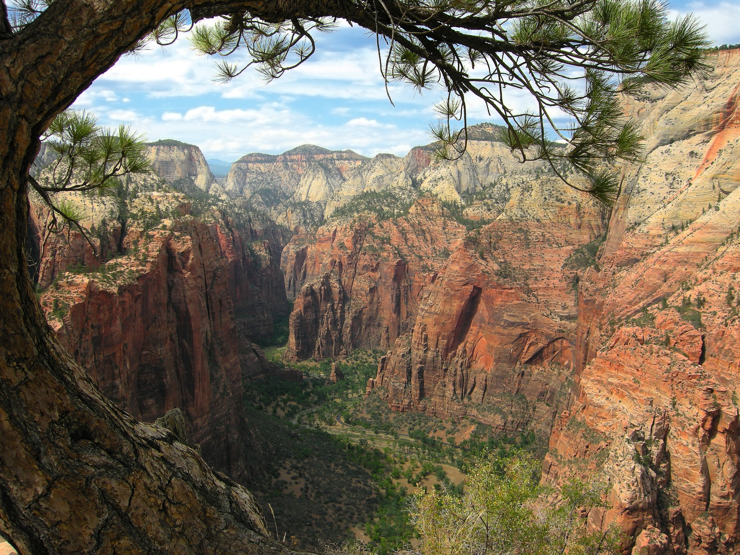 USA — Zion / Kolob Canyons : randonnées à la journée