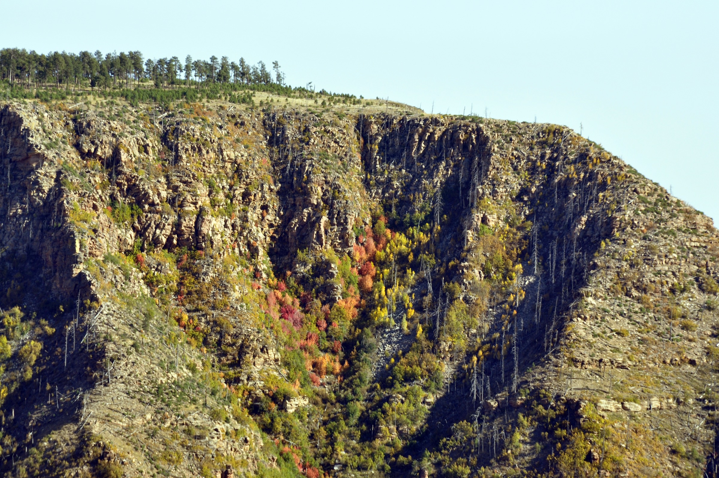 USA — Mogollon Rim, Arizona : randonnées à la journée
