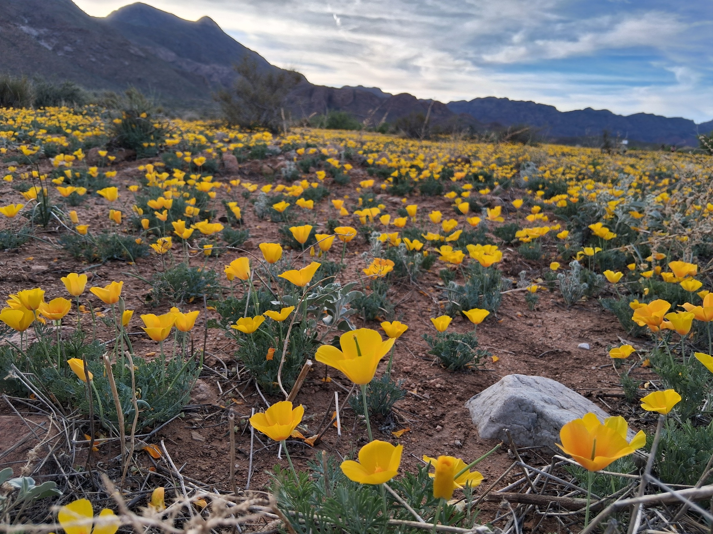 USA — Franklin Mountains, Texas : randonnées à la journée