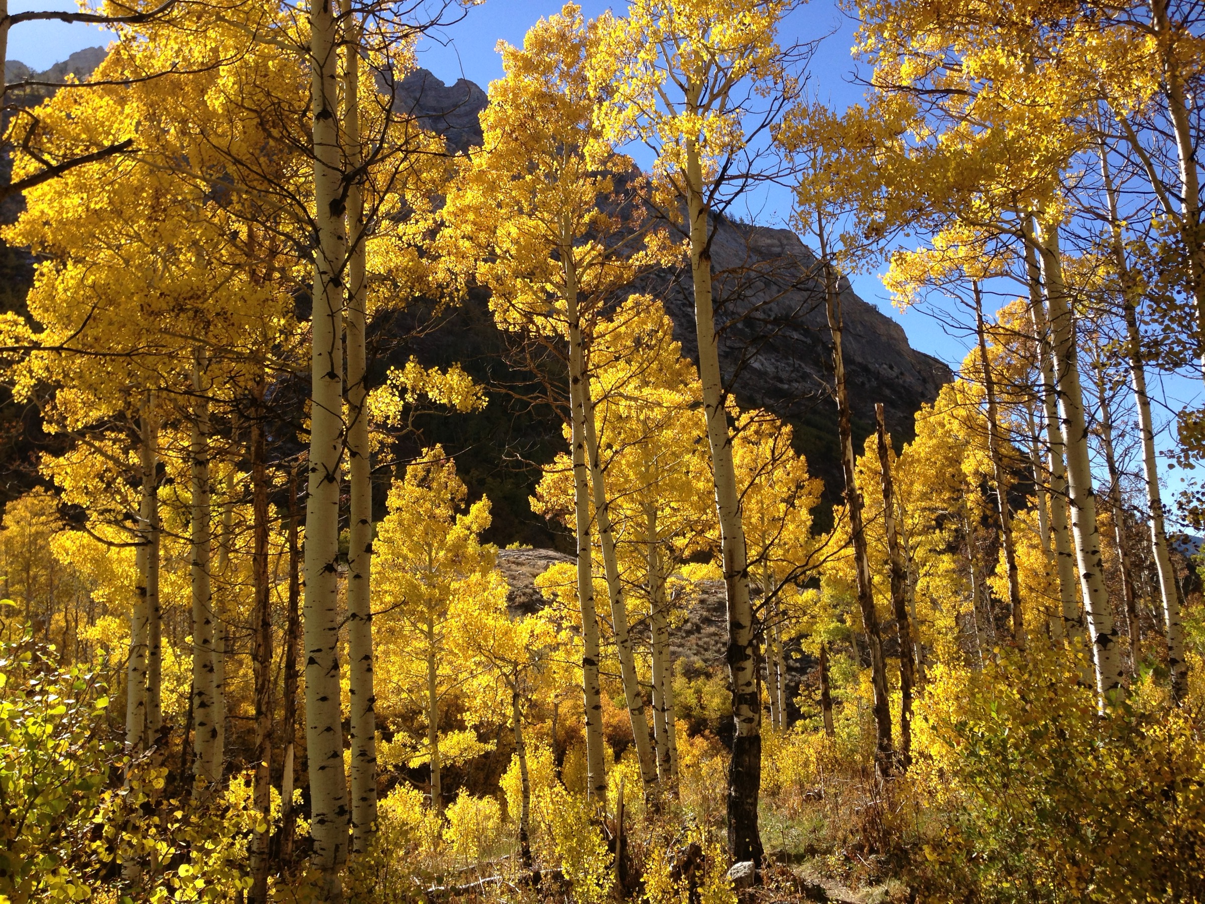 USA — Ruby Mountains, Nevada : randonnées à la journée