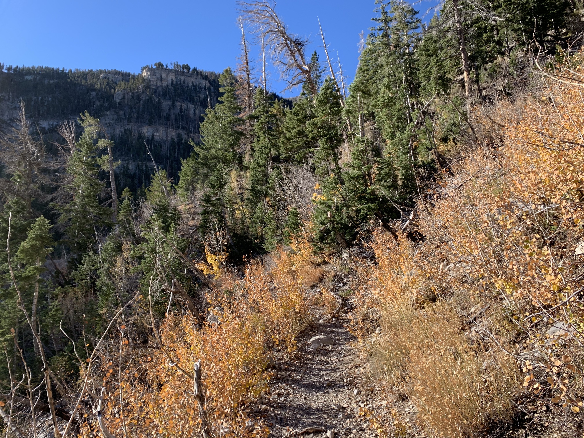 USA — Spring Mountains, Nevada : randonnées à la journée
