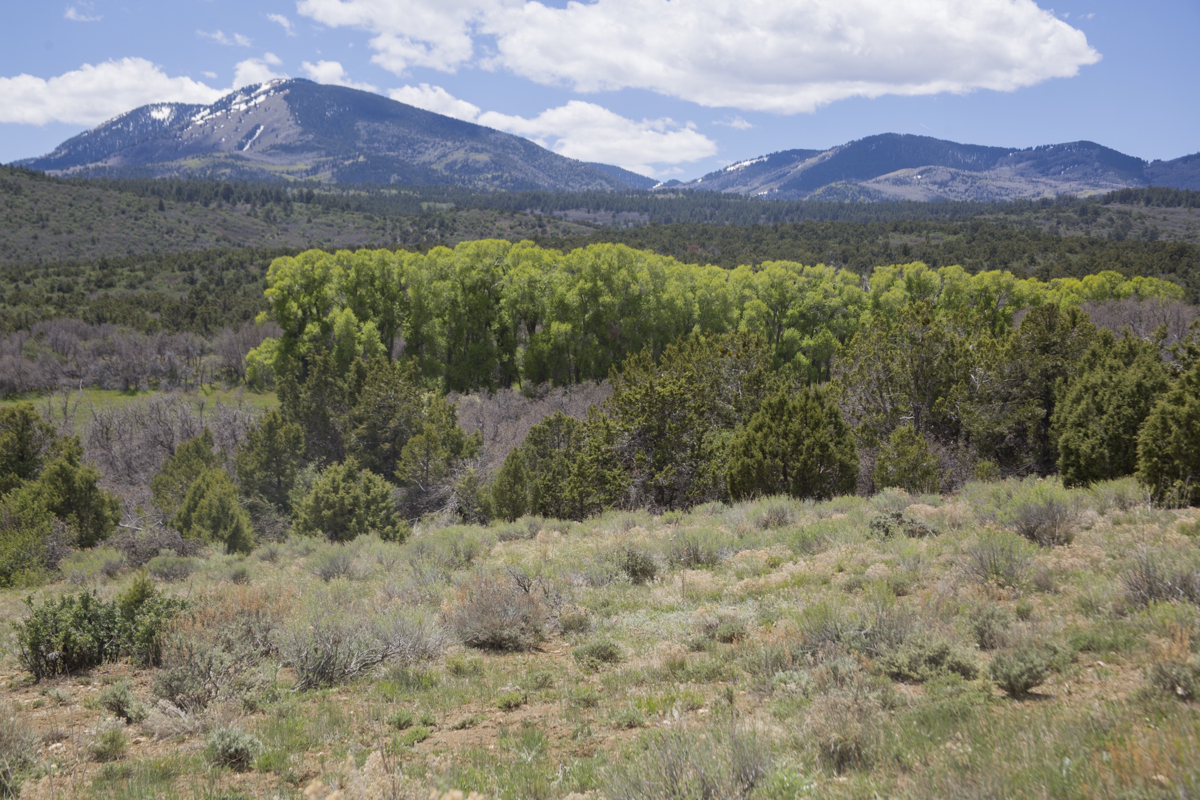 USA — Abajo Mountains, Utah : randonnées à la journée