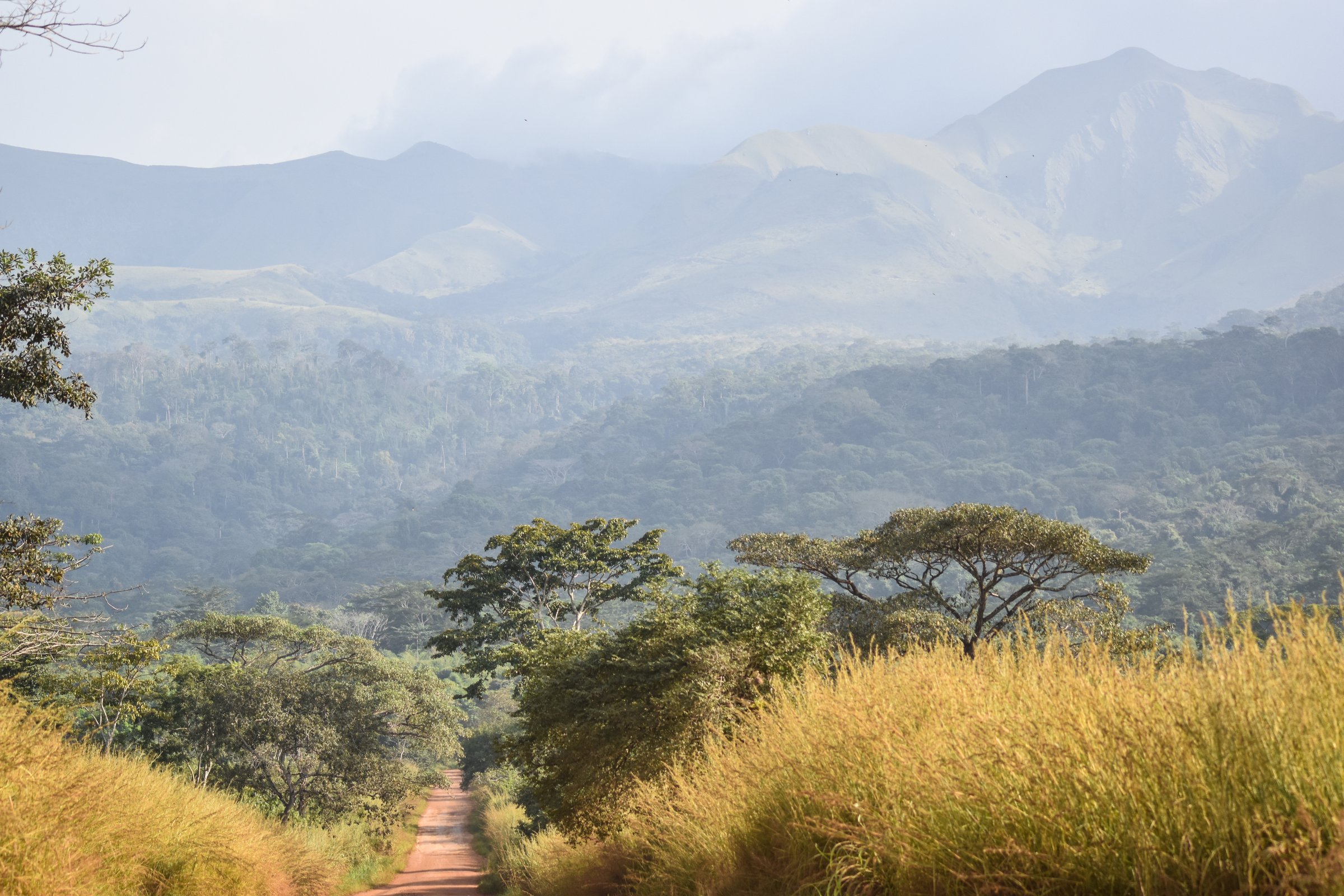 Nimba mountain ridge