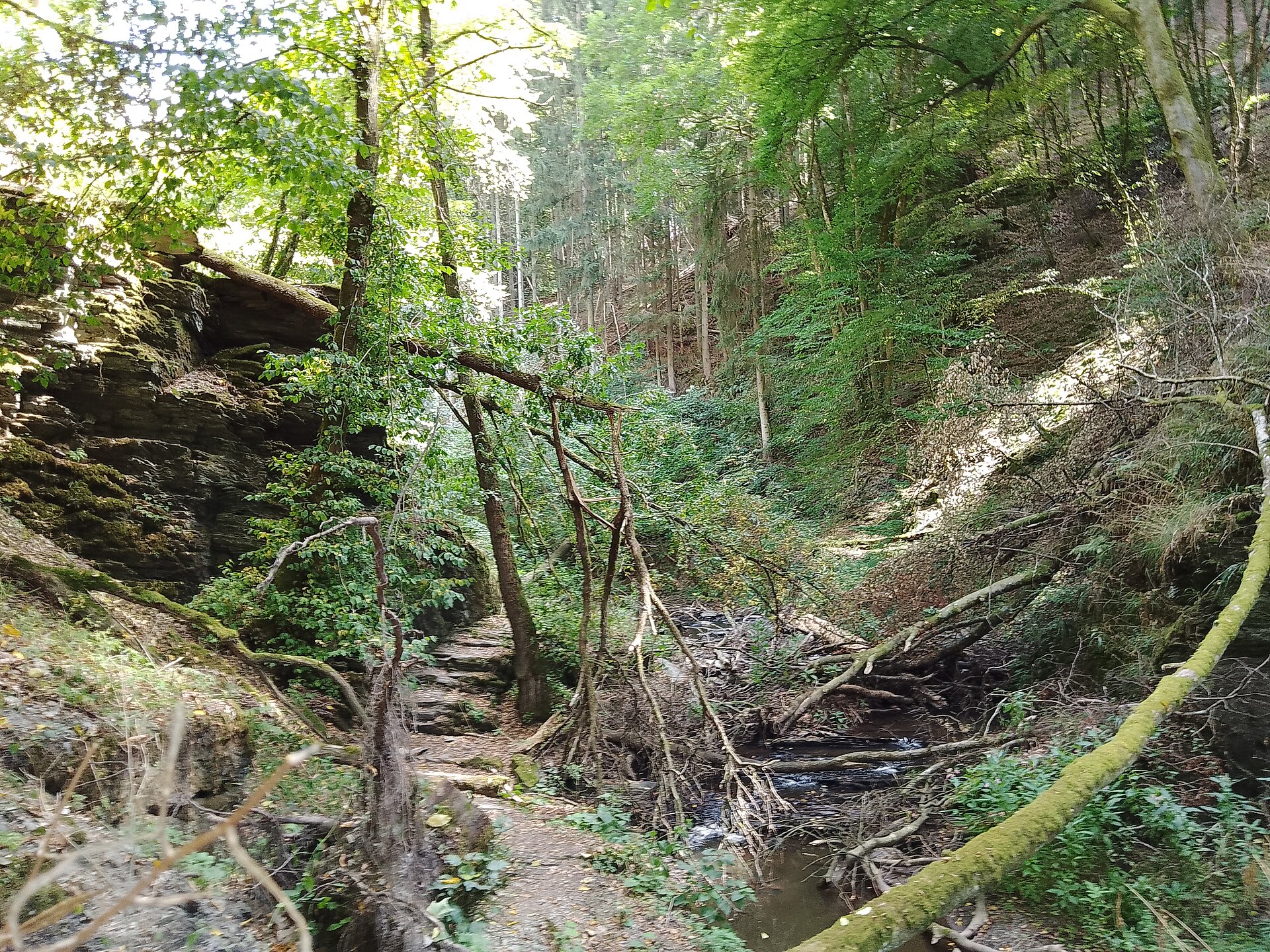 Rocks in the Baybachklamm