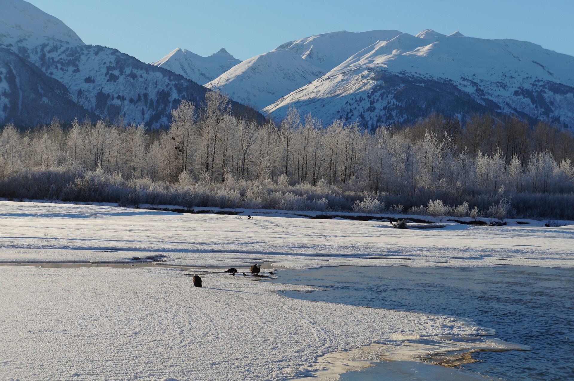 The frozen Chilkat River beneath snow-covered mountains near Haines