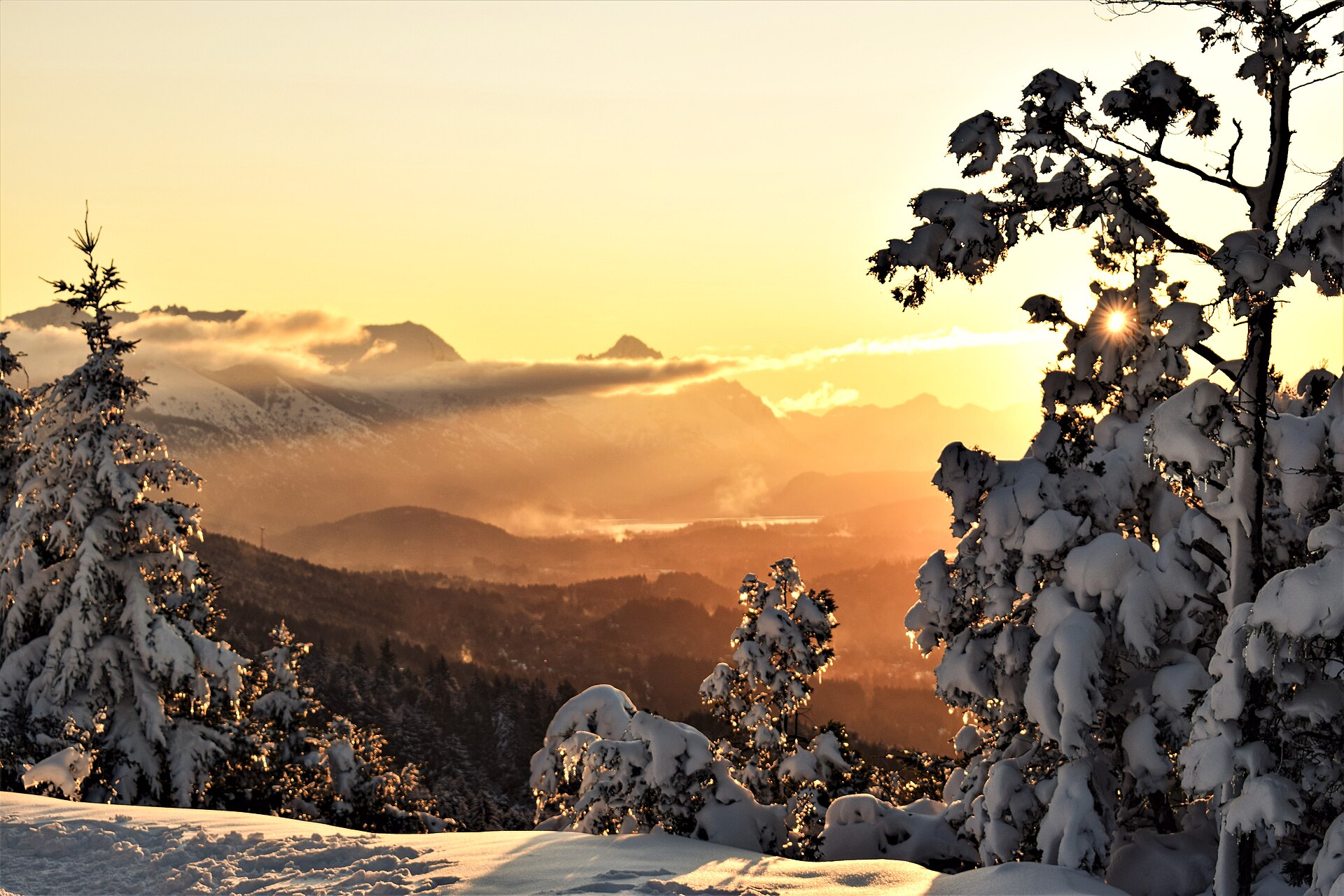 Snow-coated trees on Cerro Otto glowing above sunset-lit Patagonian ridges