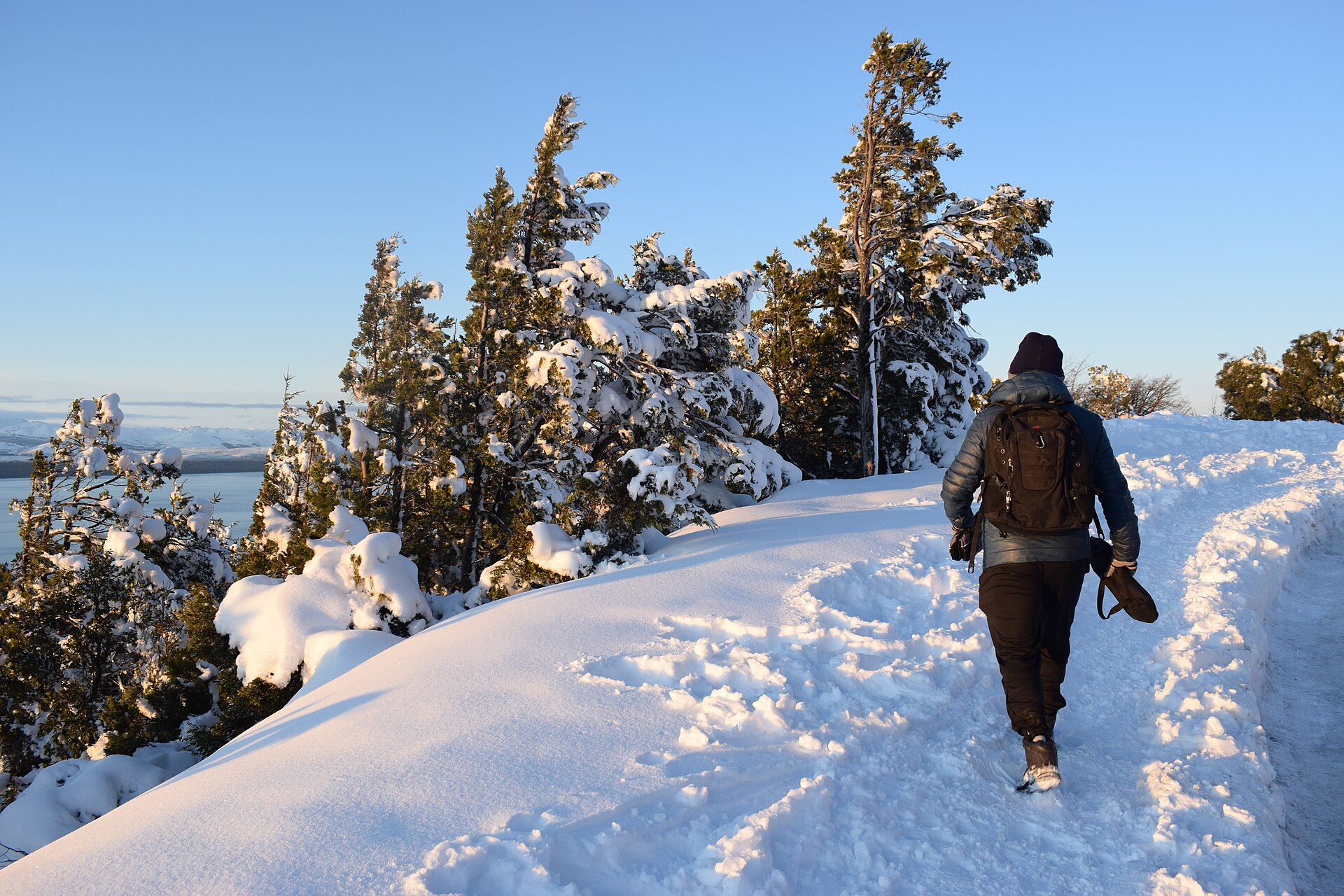 A person walking along a snowy trail between low trees on Cerro Otto