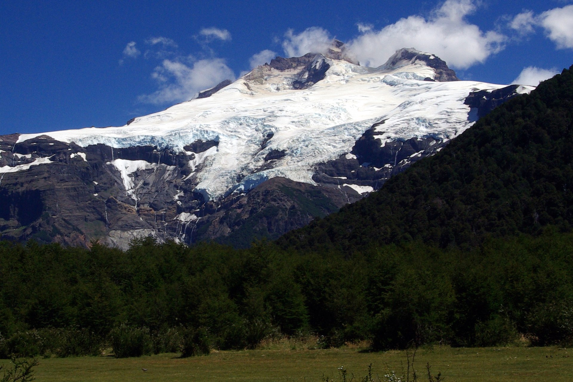 Cerro Tronador's broad white glaciers rising above forest at Pampa Linda