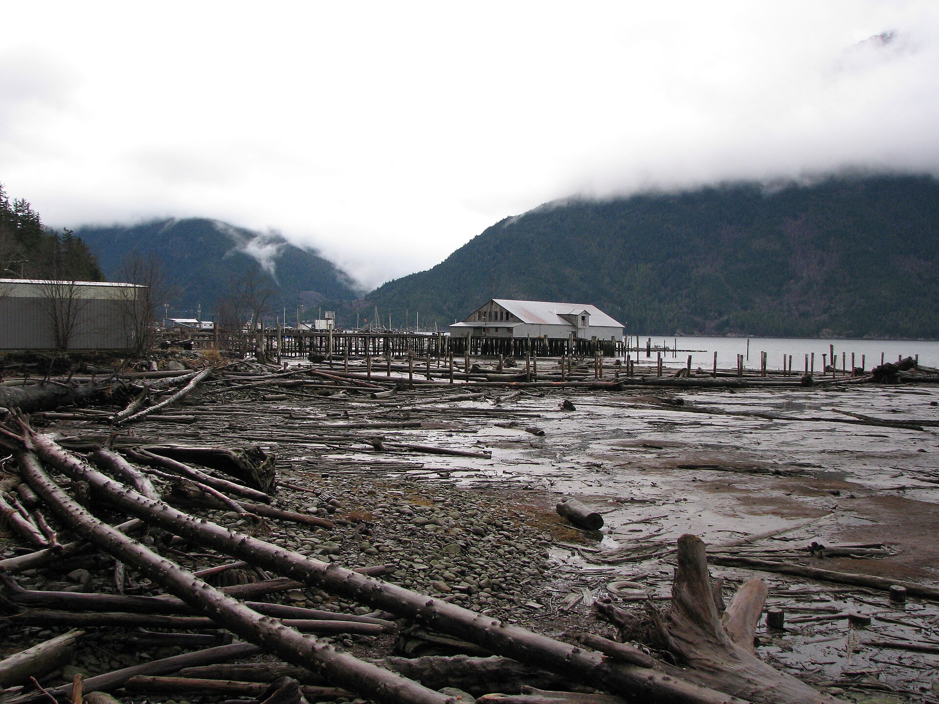 The Bella Coola estuary beneath forested mountains