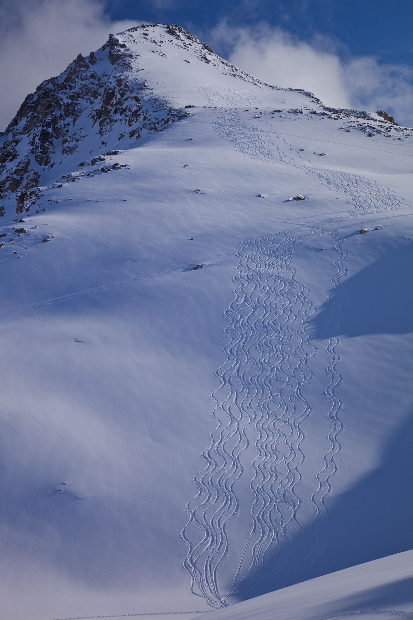 Fresh ski tracks descending a powder slope in British Columbia