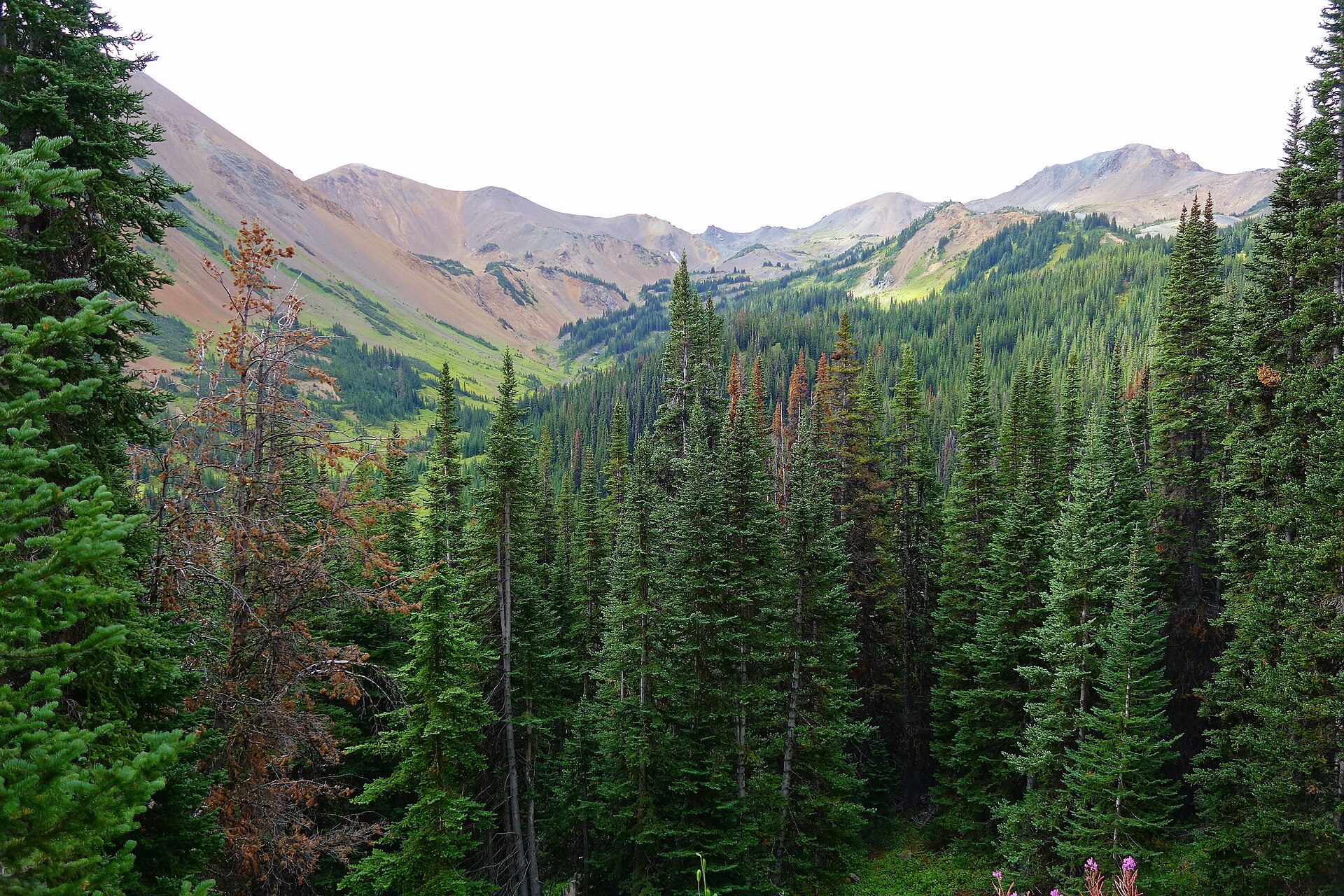 Open ridges and volcanic colours in the Rainbow Range