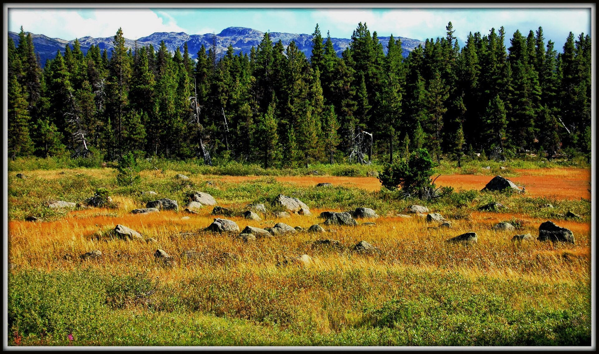 Hotnarko Mountain and the upper Bella Coola Valley near Heckman Pass